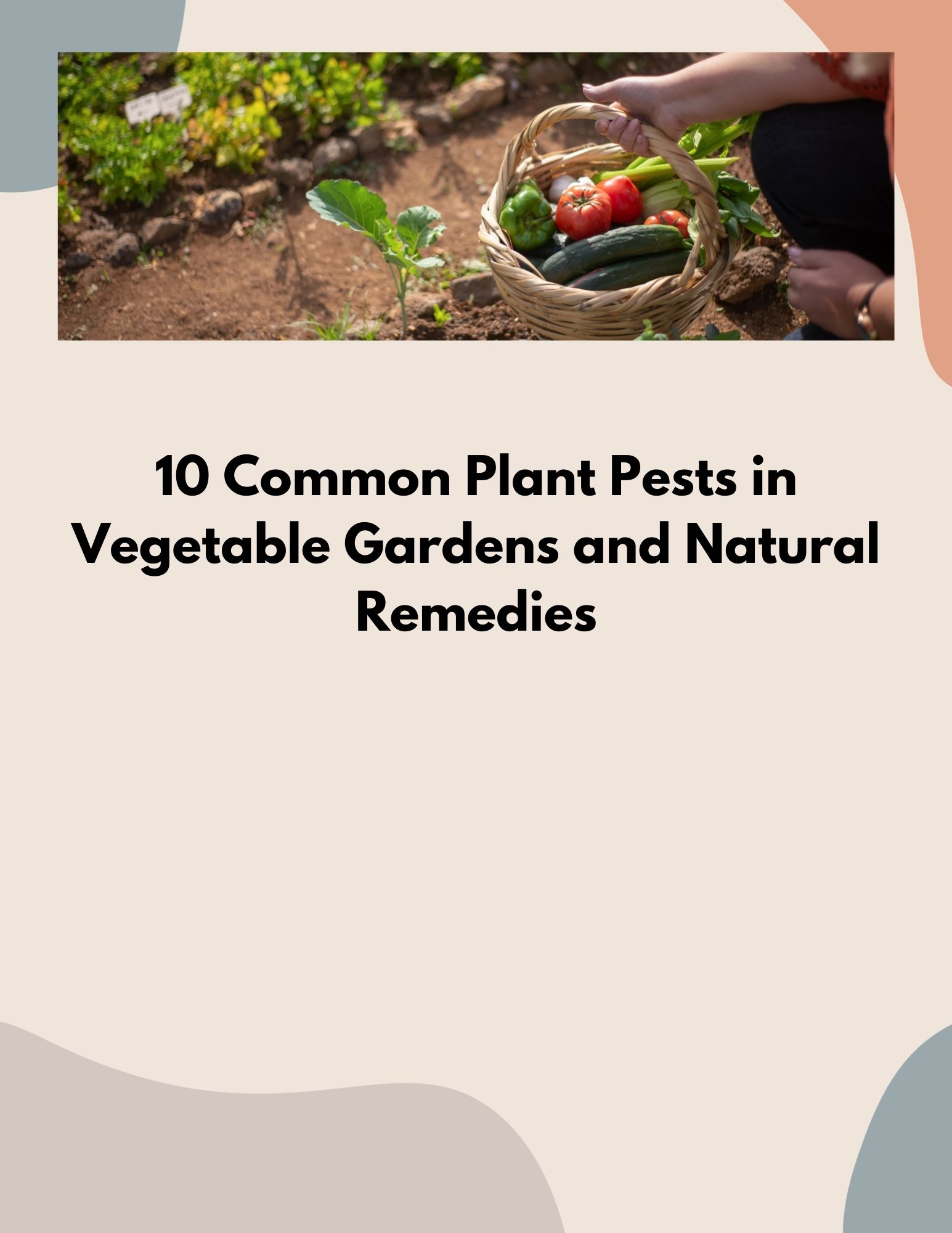 10 Common Pests in Vegetable Garden