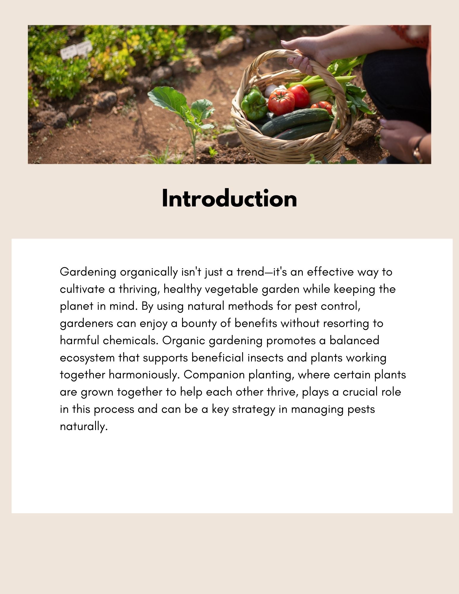 10 Common Pests in Vegetable Garden