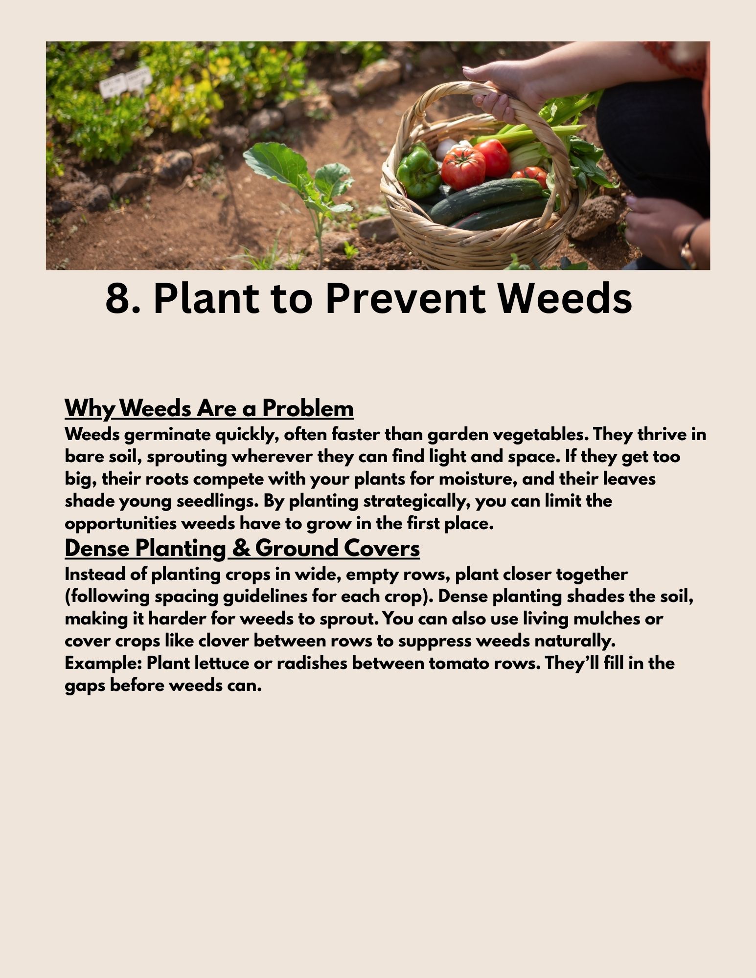 10 Things Every Beginner Gardener Should Do Before Starting a Garden 