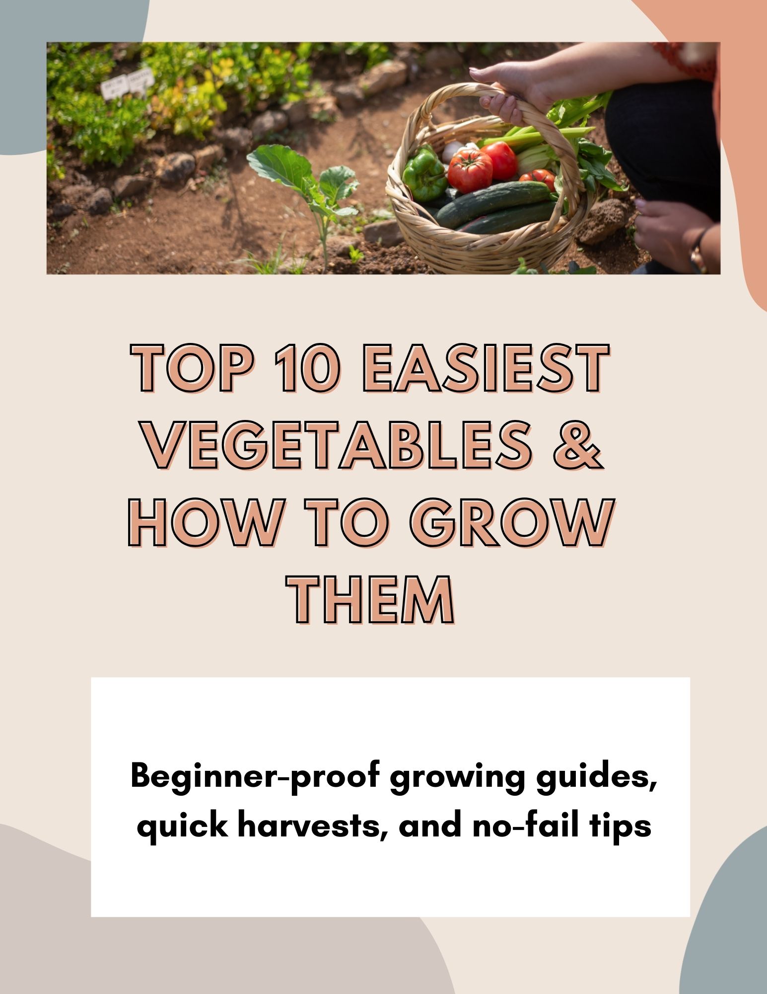 Top 10 Easiest Vegetables & How to Grow Them