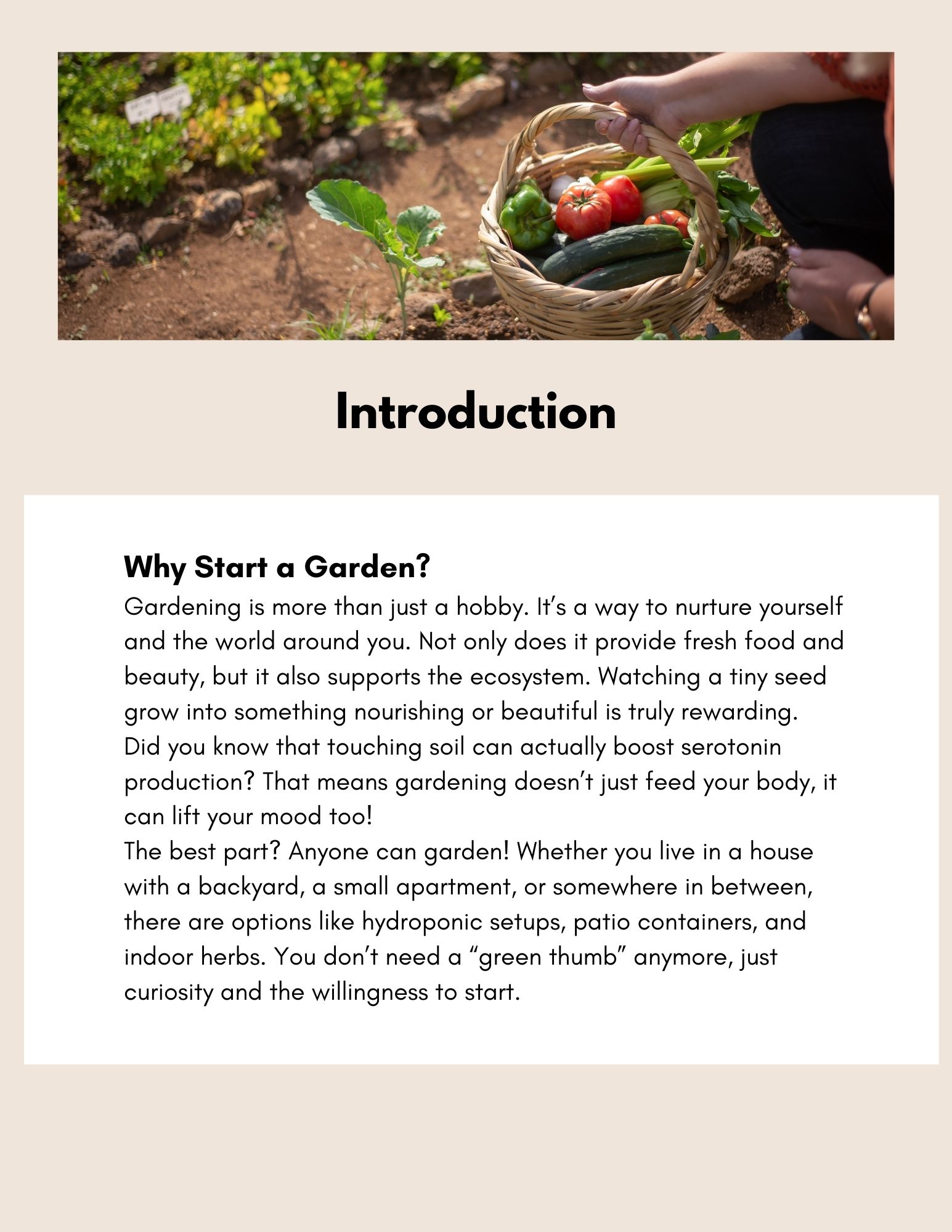 10 Things Every Beginner Gardener Should Do Before Starting a Garden 
