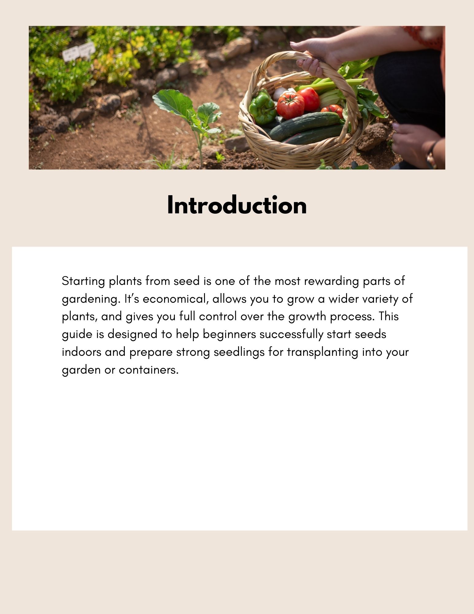 Seed Starting for Beginners 