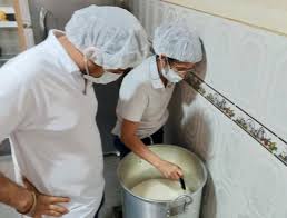 Experiencia de ordeño y fabricación de yogurt casero.