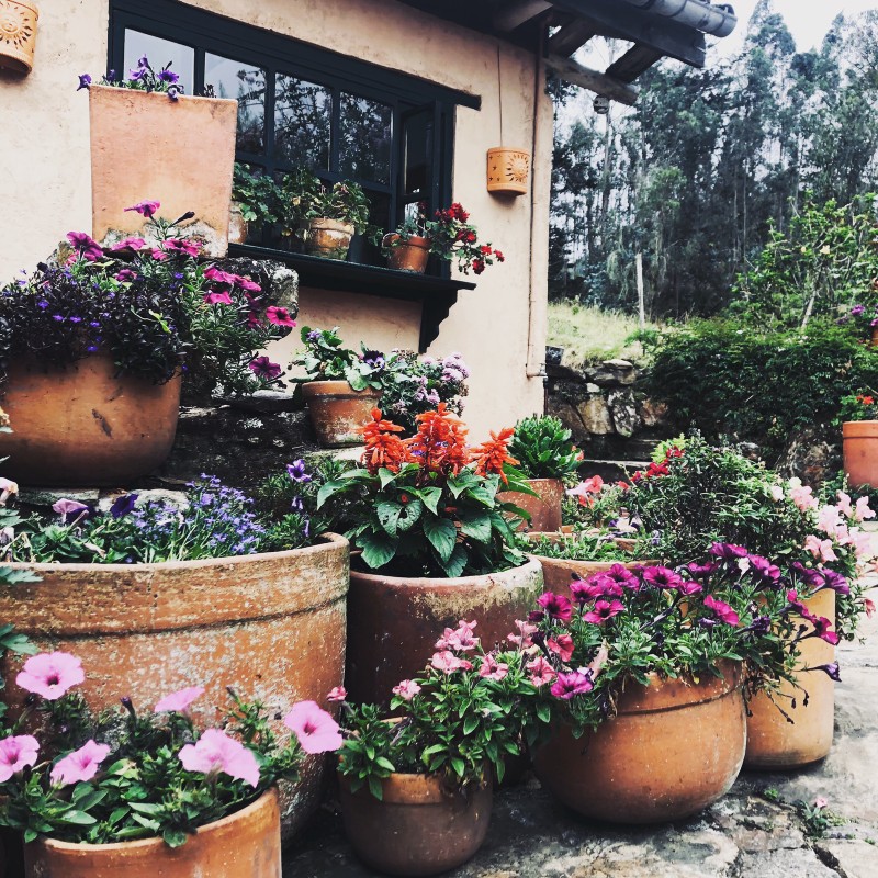 Restaurante La Acuarela