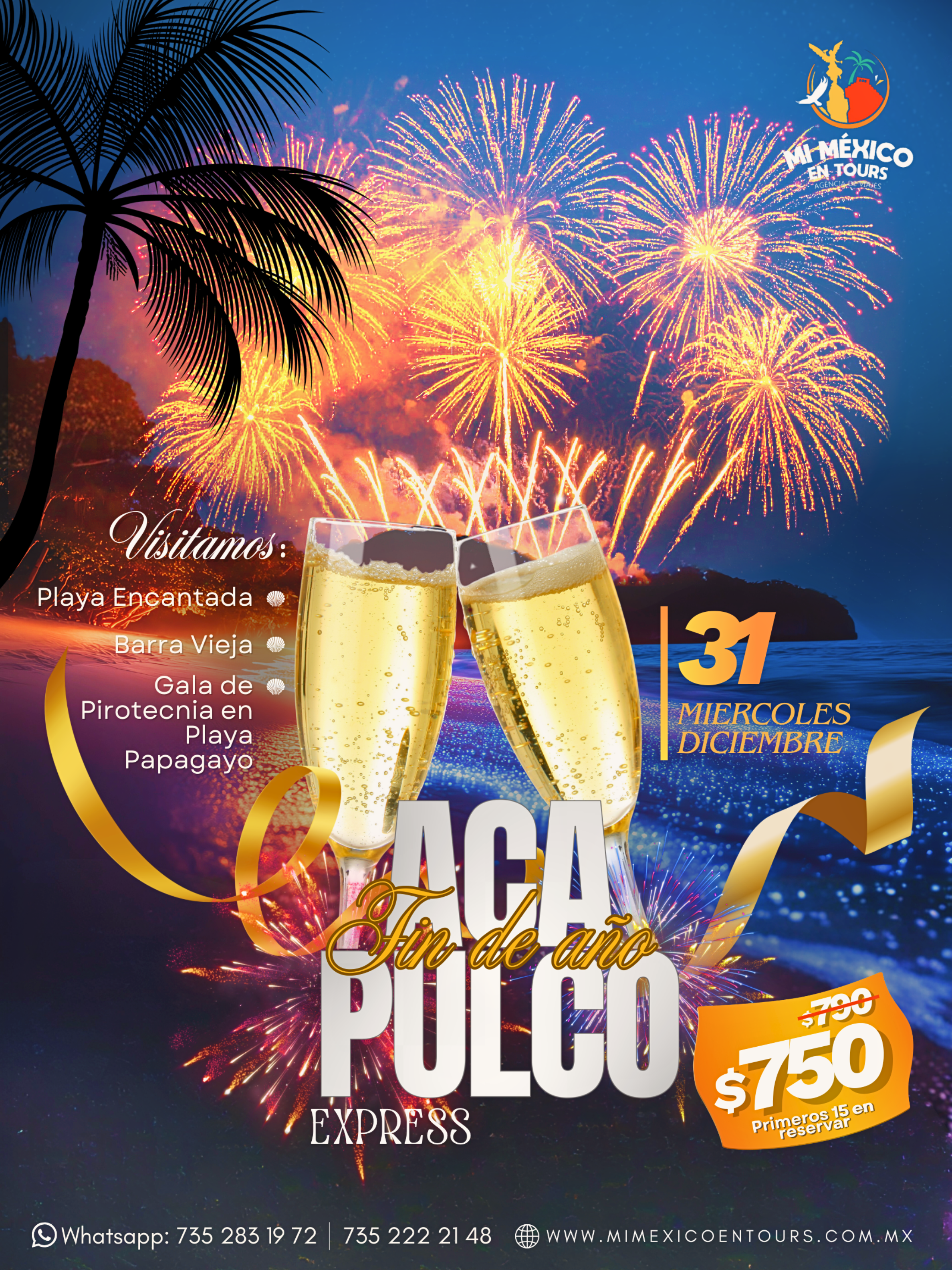 FIN DE AÑO EN ACAPULCO EXPRESS