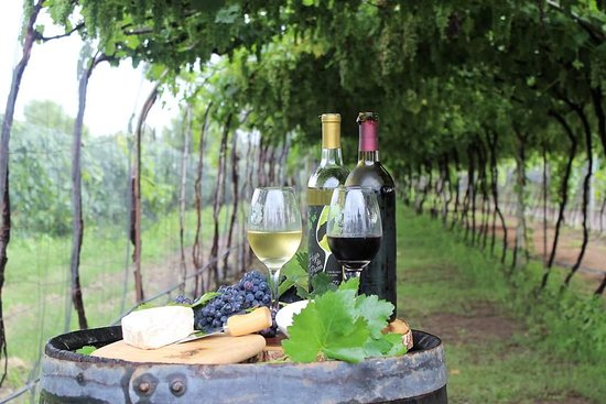 Ruta del Vino y Queso