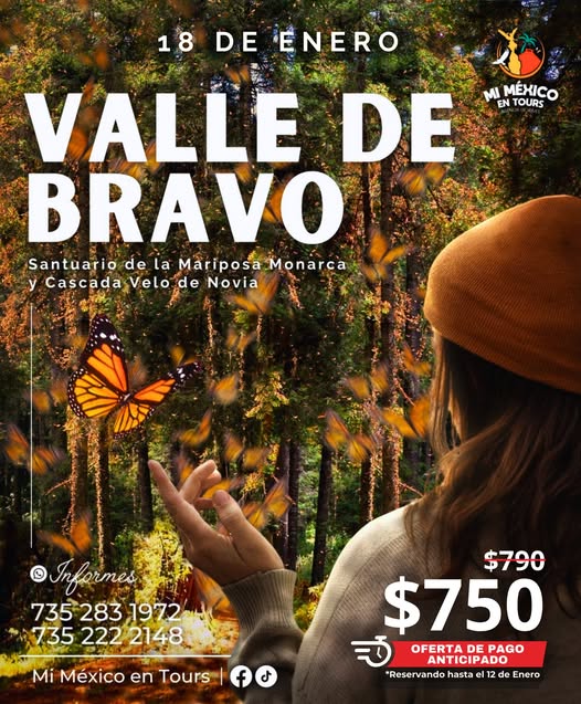 Santuario de la Mariposa Monarca + Valle de Bravo + Cascada Velo de Novia