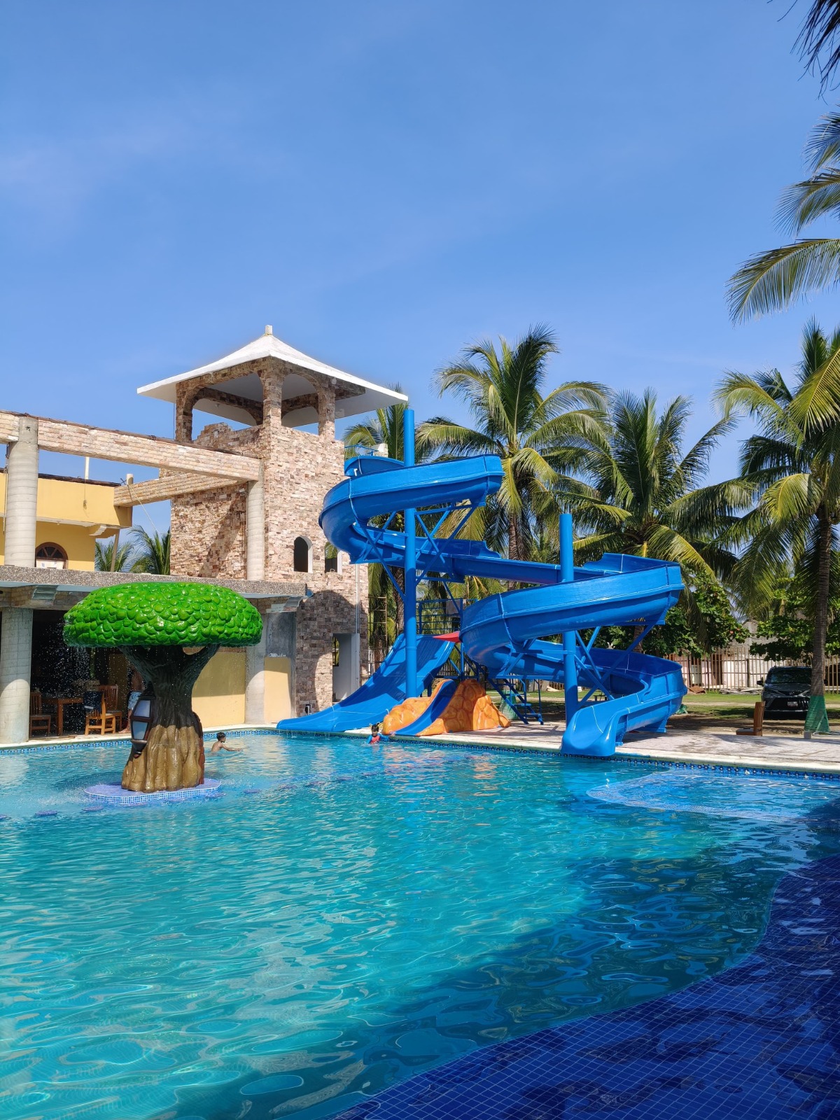 FIN DE AÑO EN ACAPULCO EXPRESS