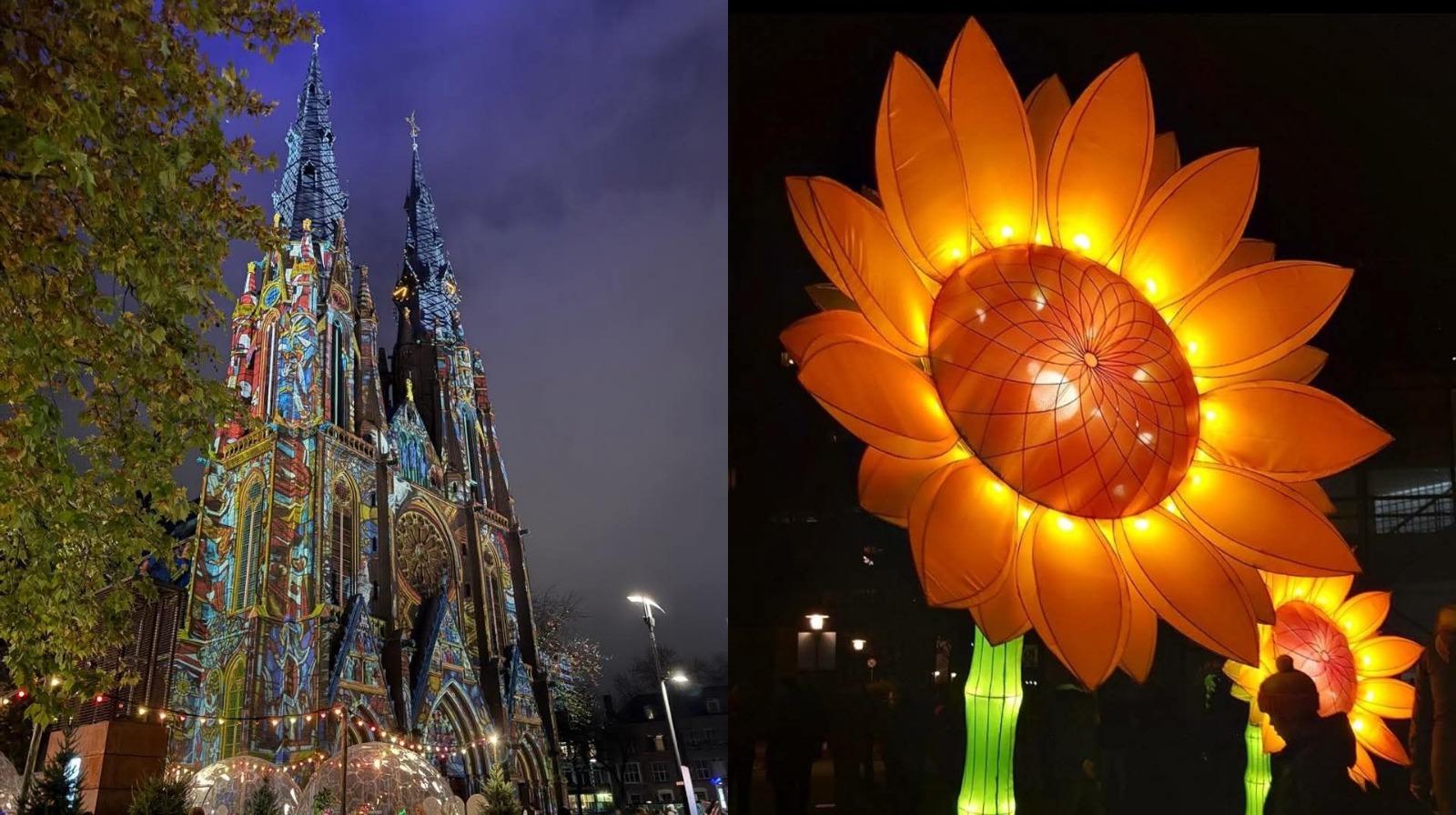 Santuario de los girasoles