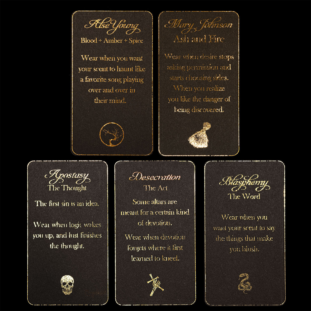 Cocina de Brujas  - Discovery Set