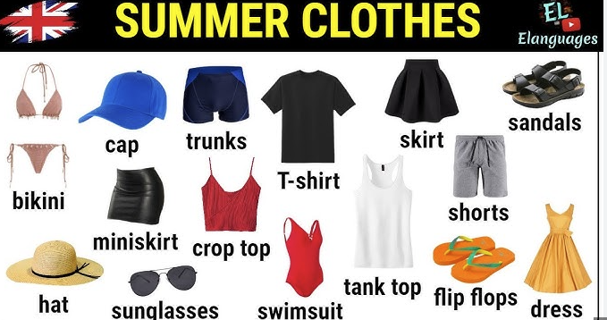 Assorted Clothing Collection