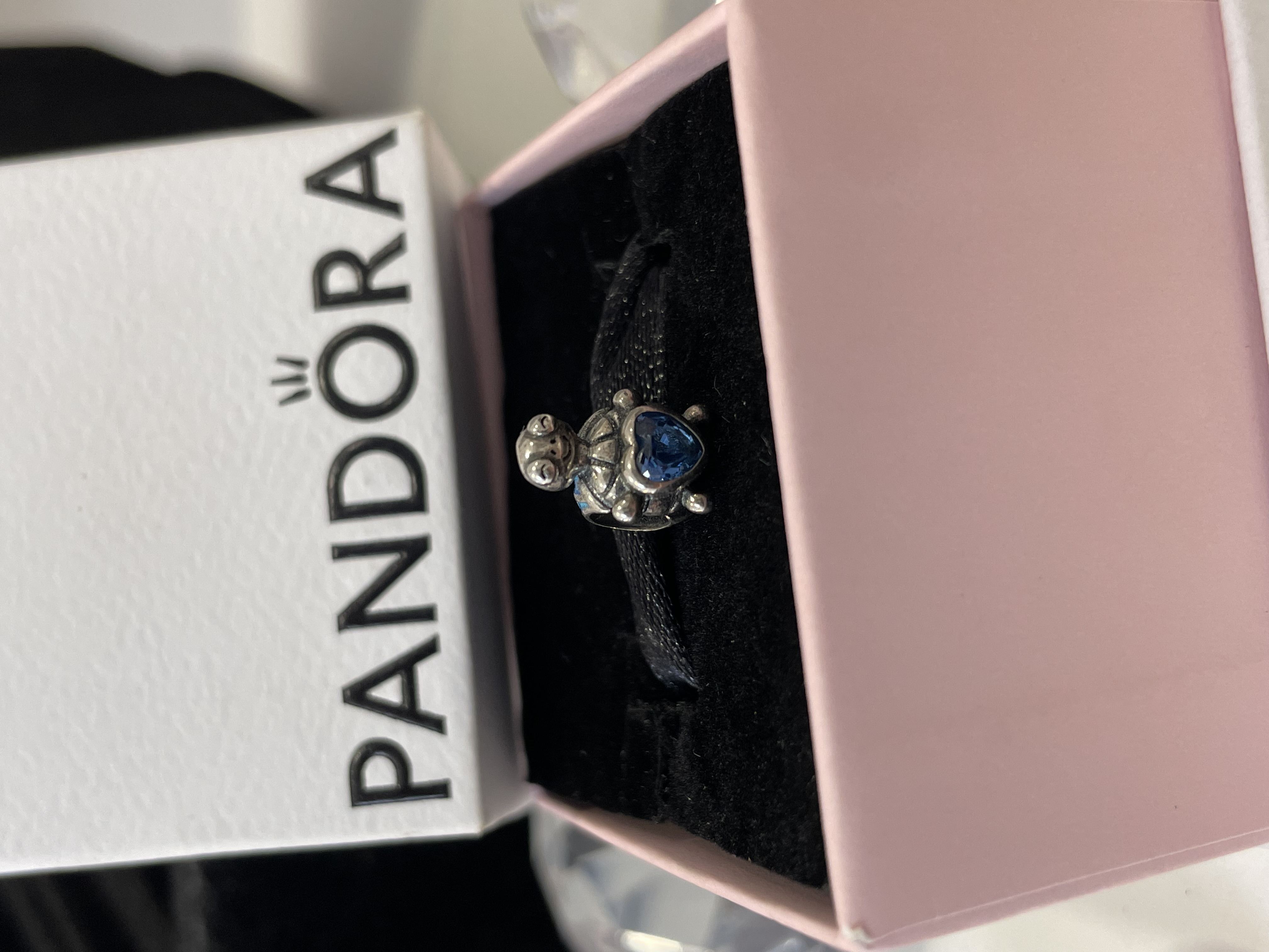 CHARM TORTUGA CORAZON AZUL 