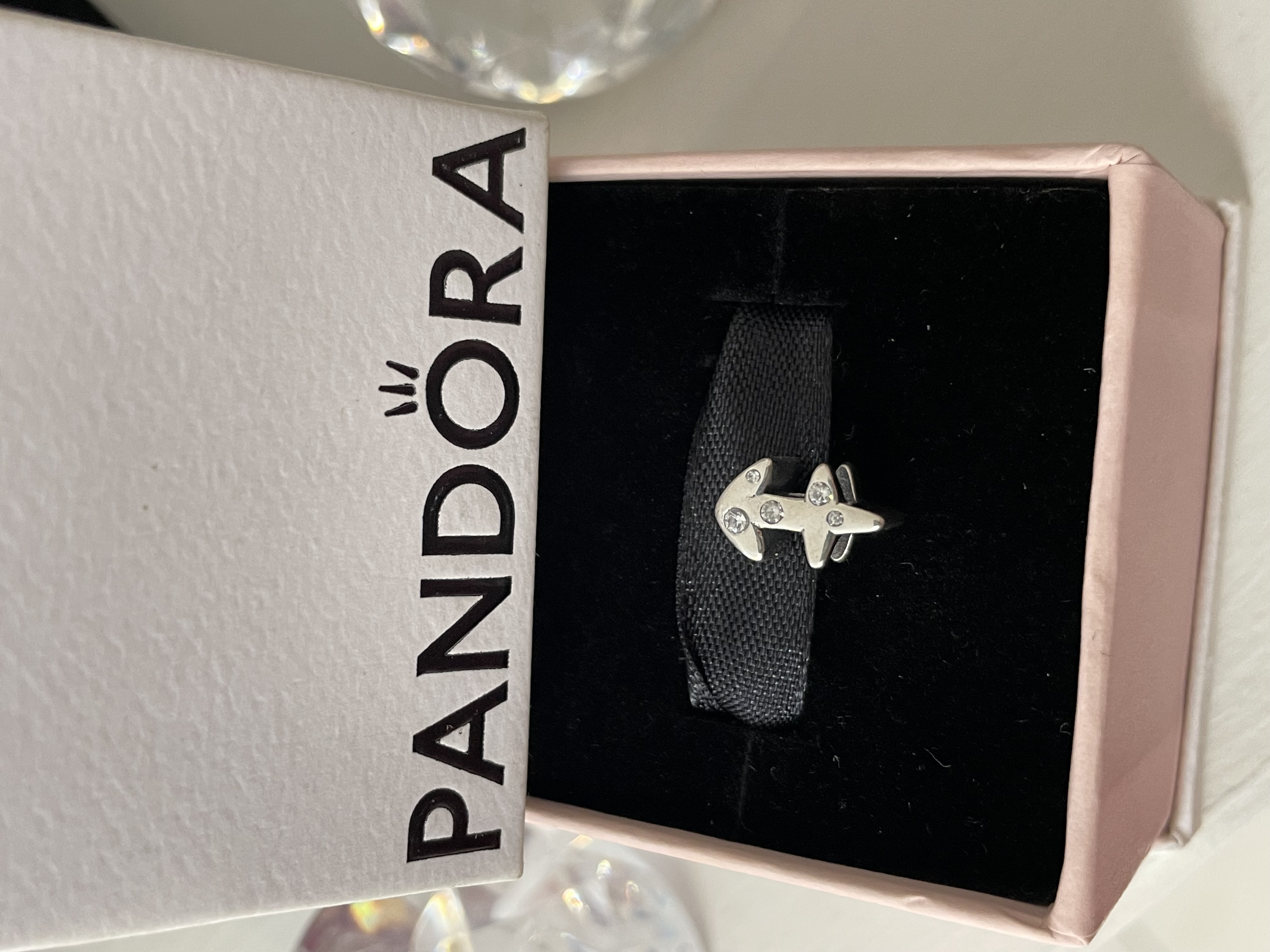 CHARM SIGNO ACUARIO 