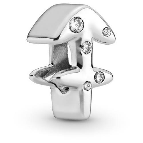CHARM SIGNO ACUARIO 