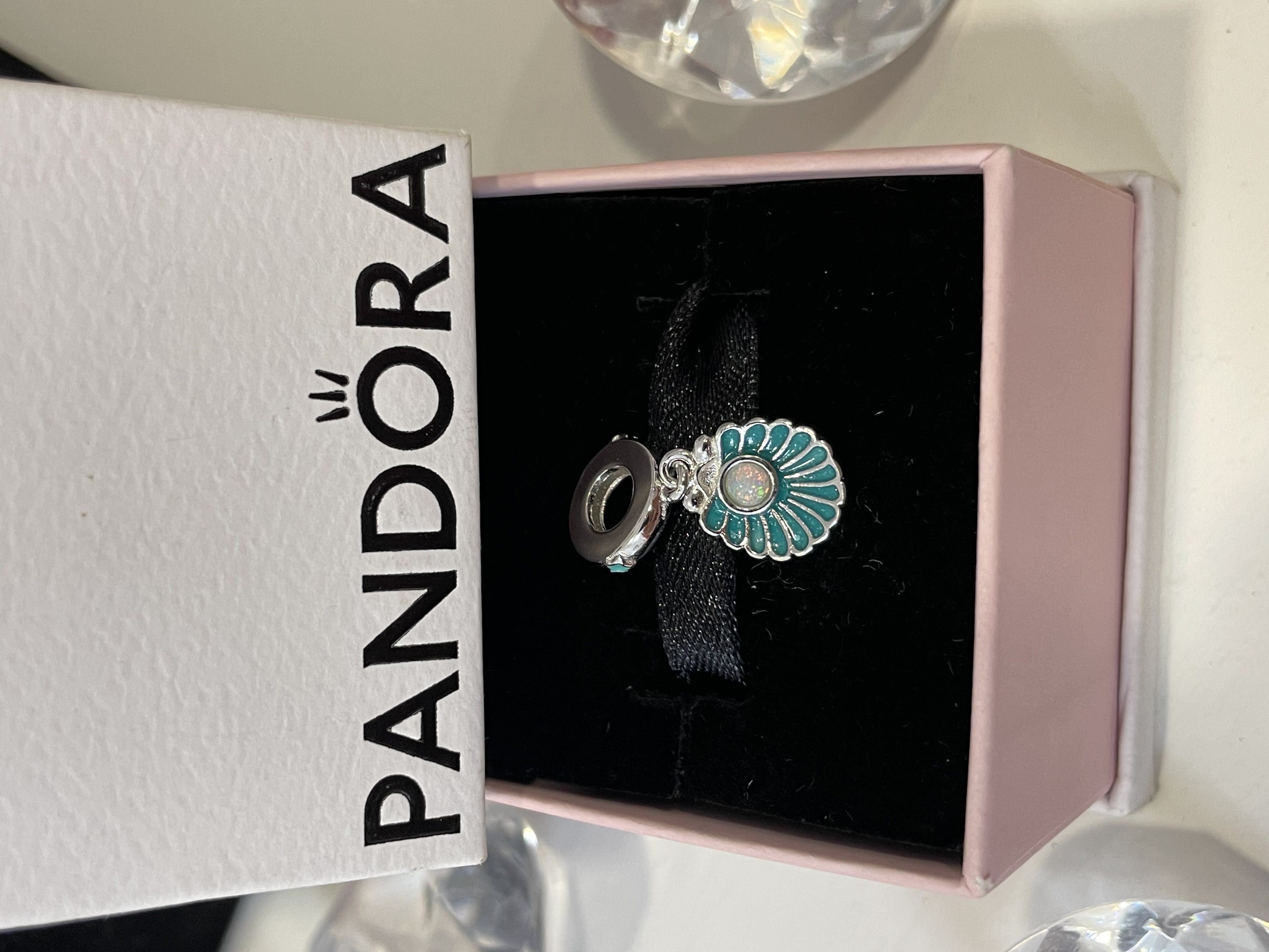 CHARM CONCHA AQUA 