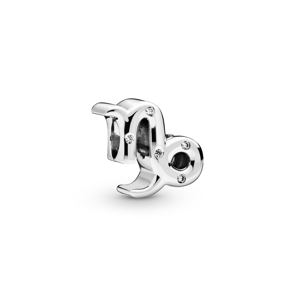 CHARM SIGNO CAPRICORNIO 