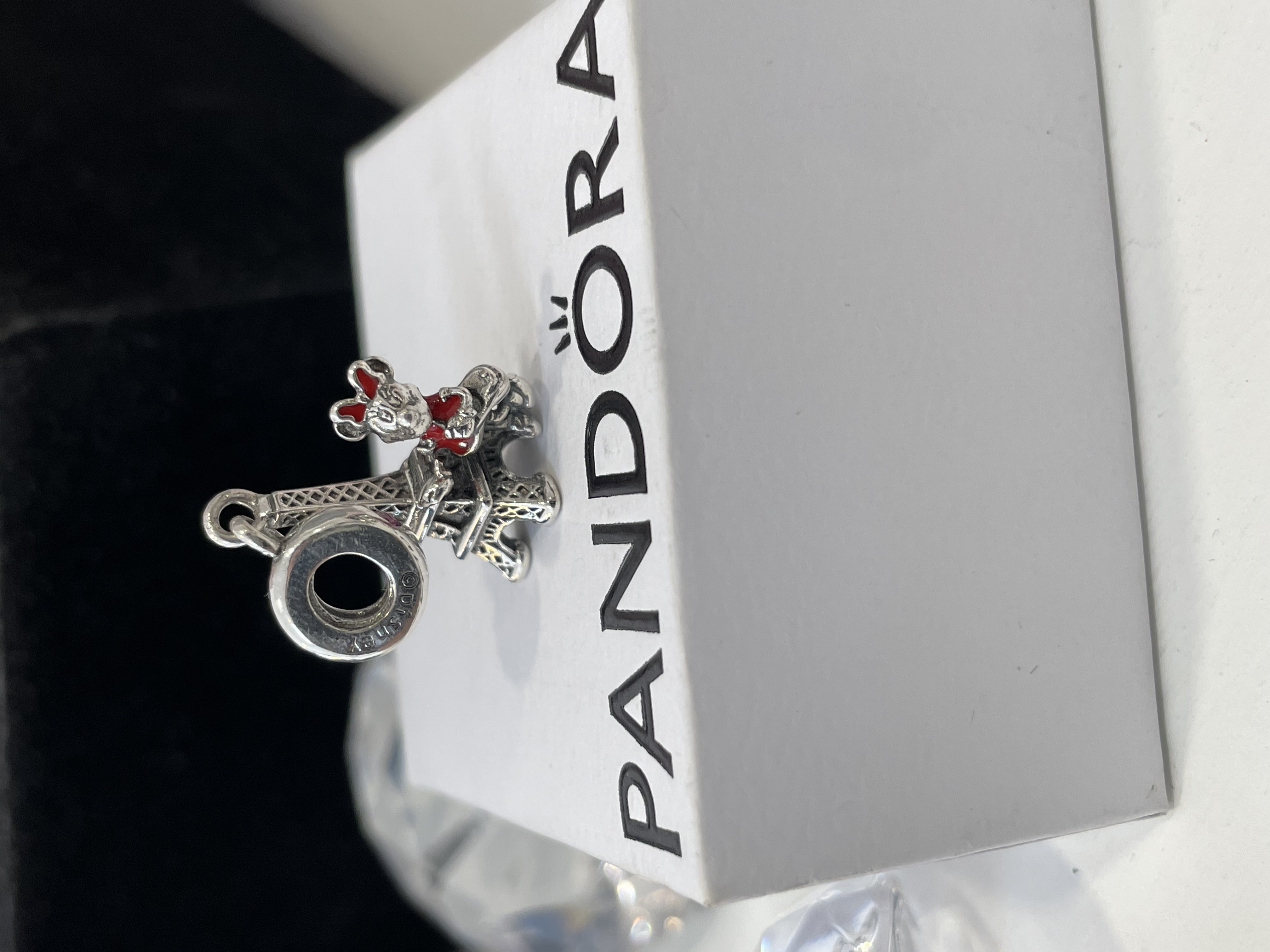 CHARM MINNIE PARIS