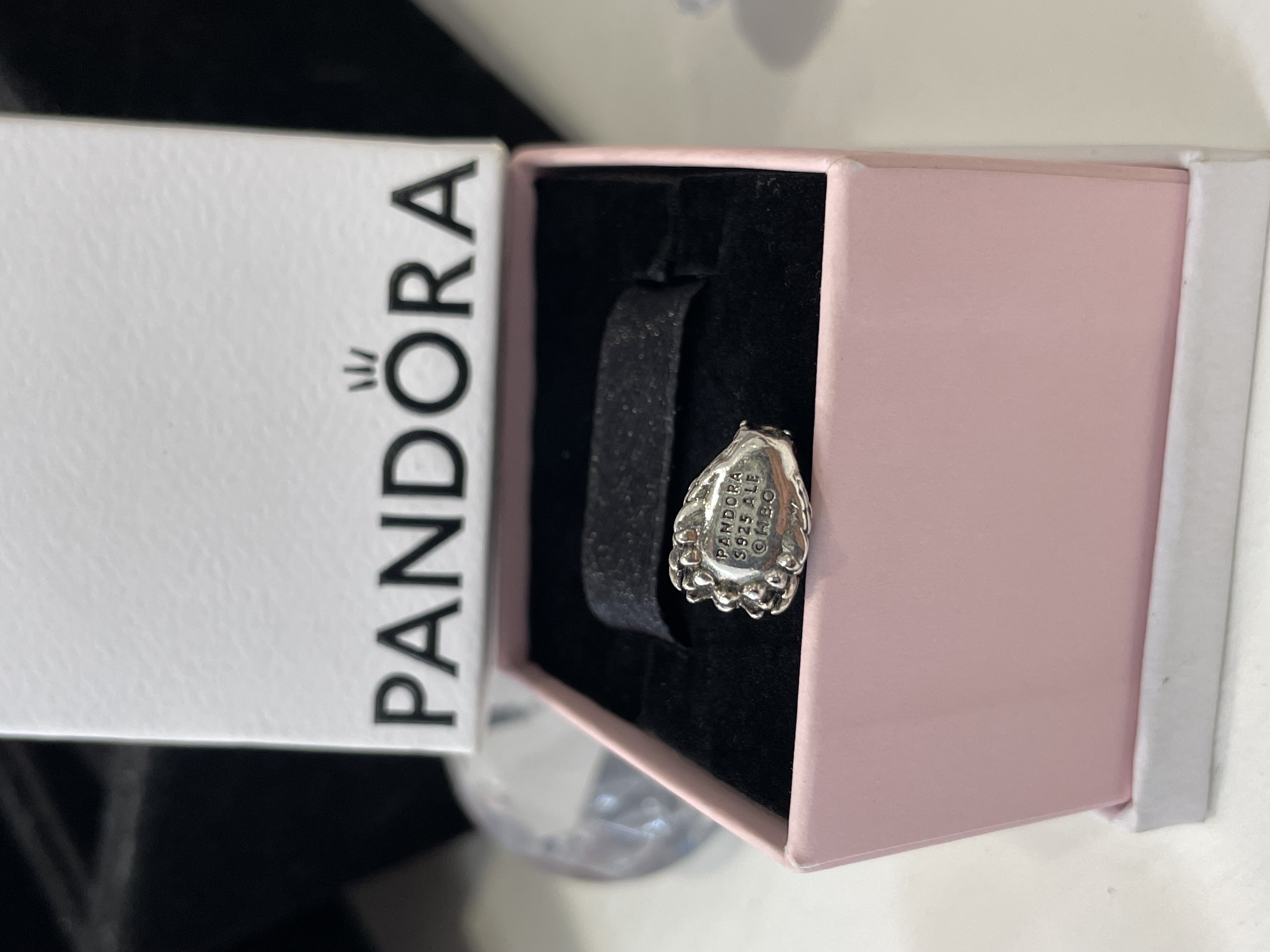 CHARM GOT CABEZA DRAGON PLATA