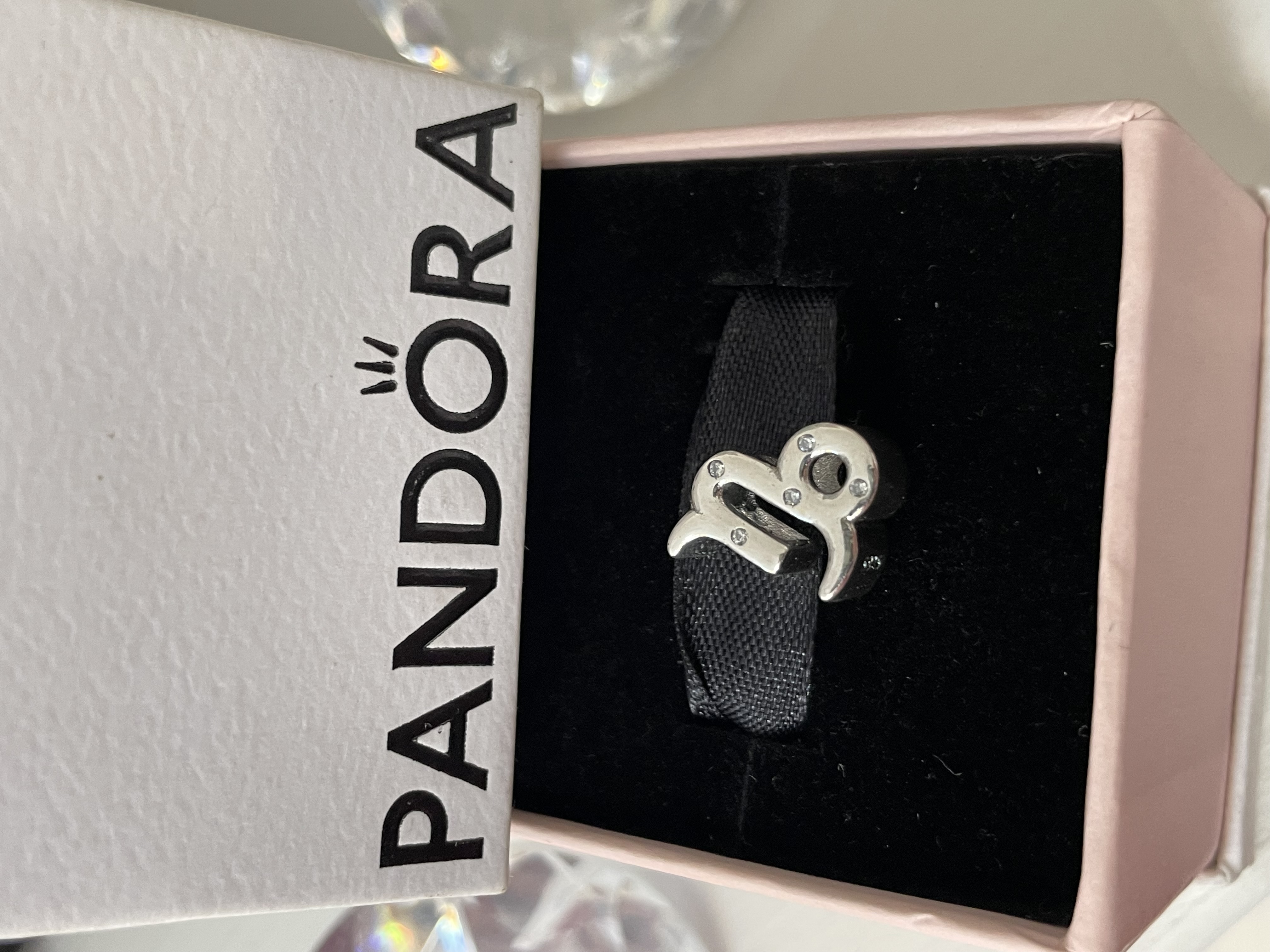 CHARM SIGNO CAPRICORNIO 