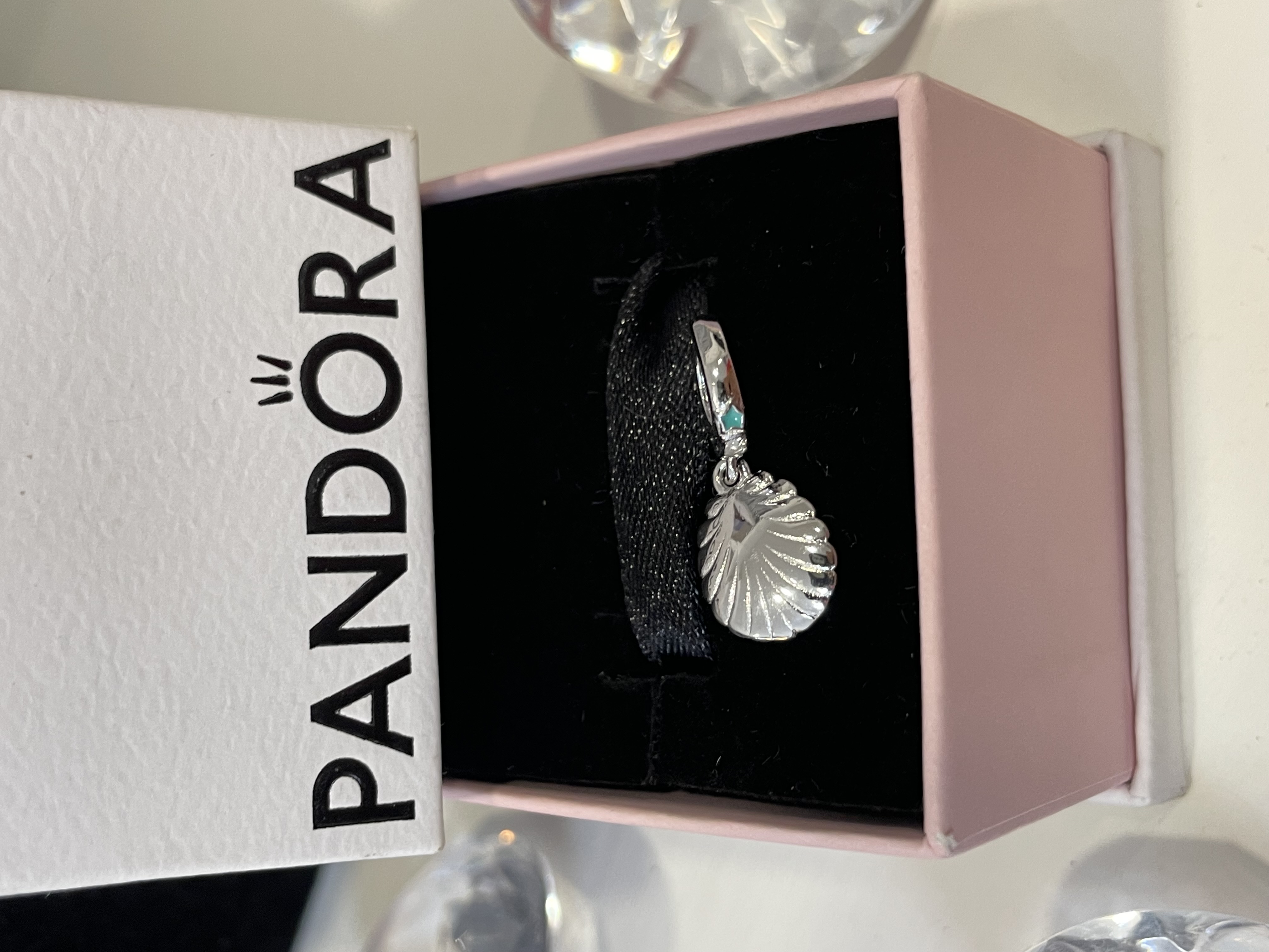 CHARM CONCHA AQUA 