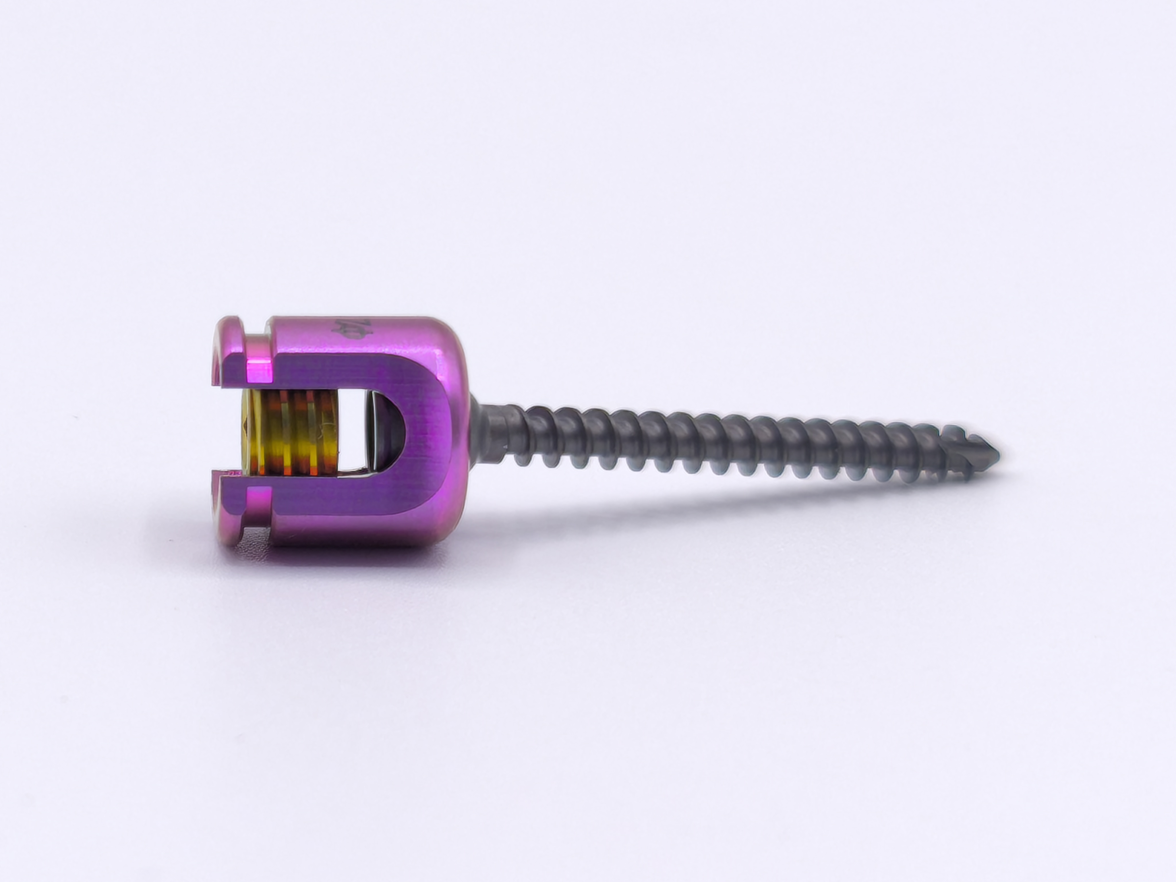 Tornillo Poly Axial Titanio 2.5