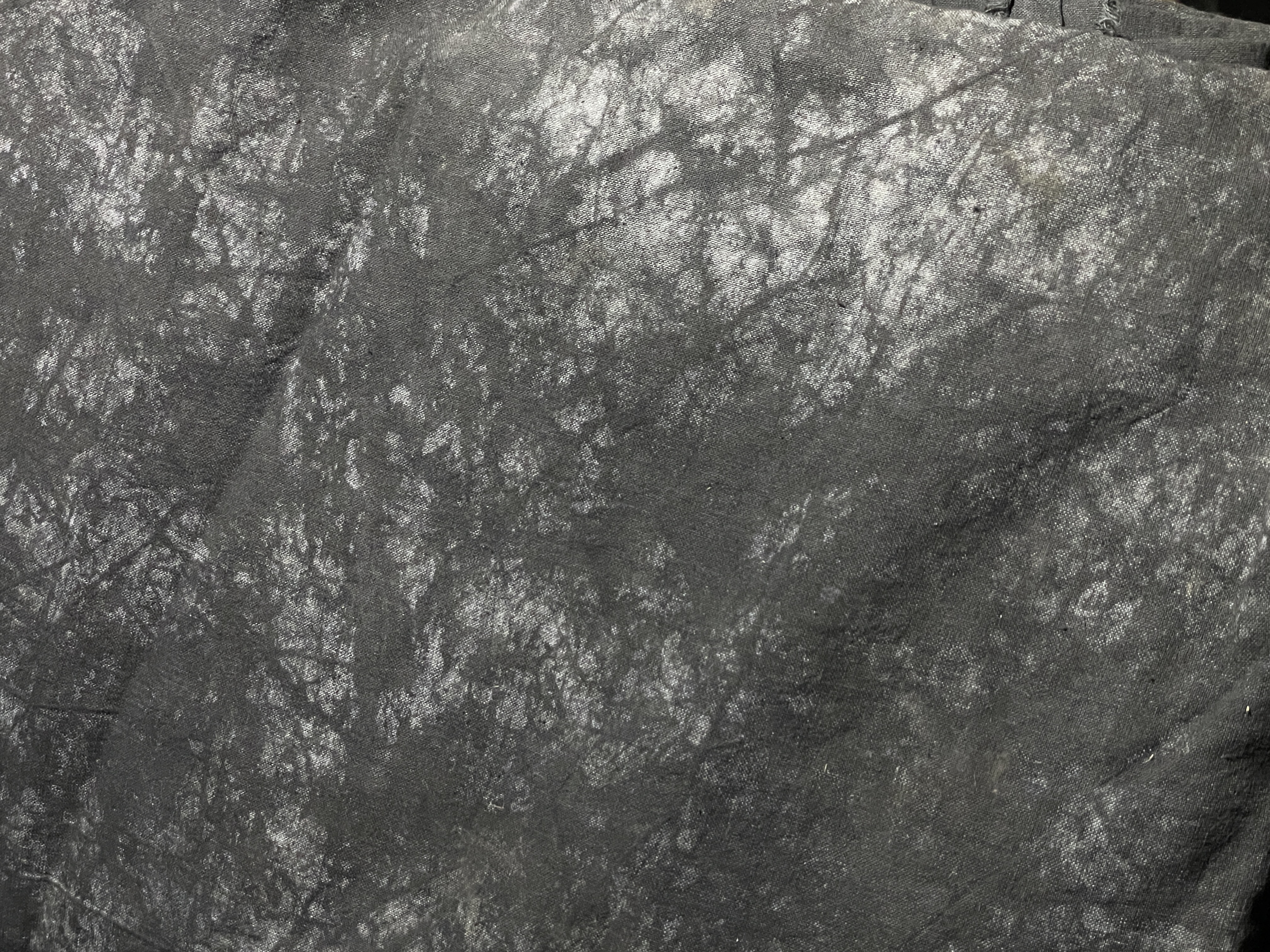 Fond dégradé pour studio photo & vidé 