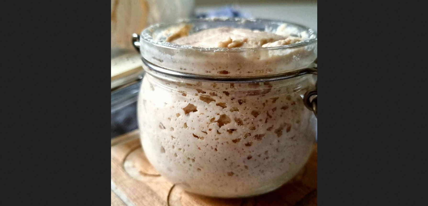 Sourdough Starter