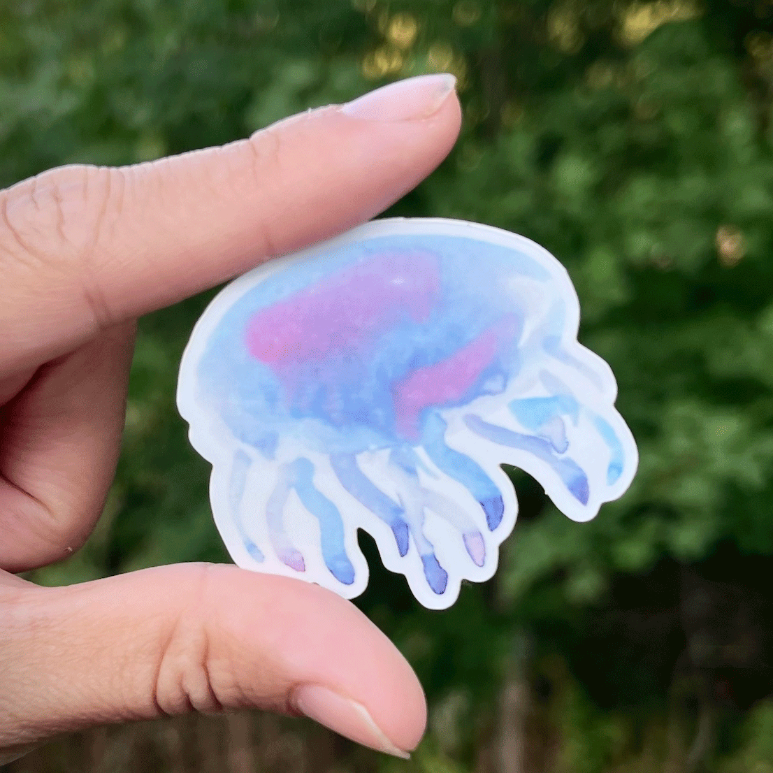 Jellyfish Watercolor Vinyl Sticker M