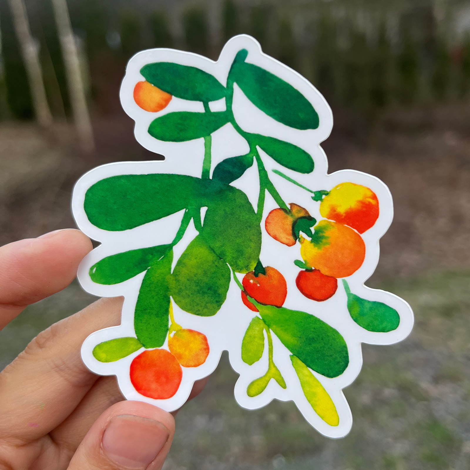 Berry Tree Watercolor Vinyl Sticker