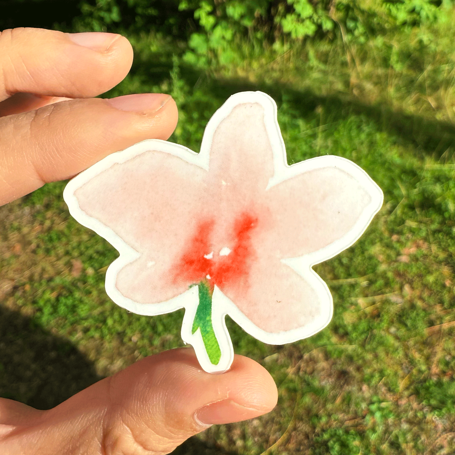 Pink Orchid Vinyl Sticker