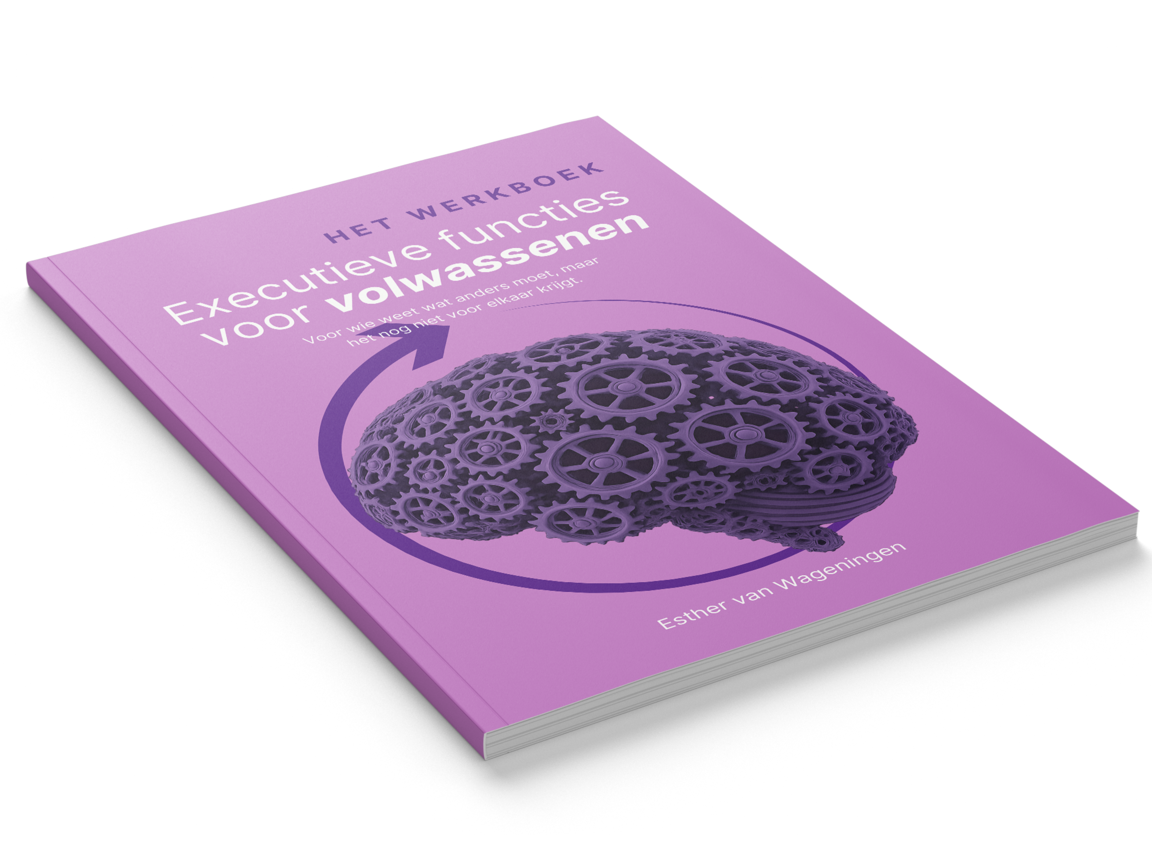Werkboek | Executieve functies voor volwassenen