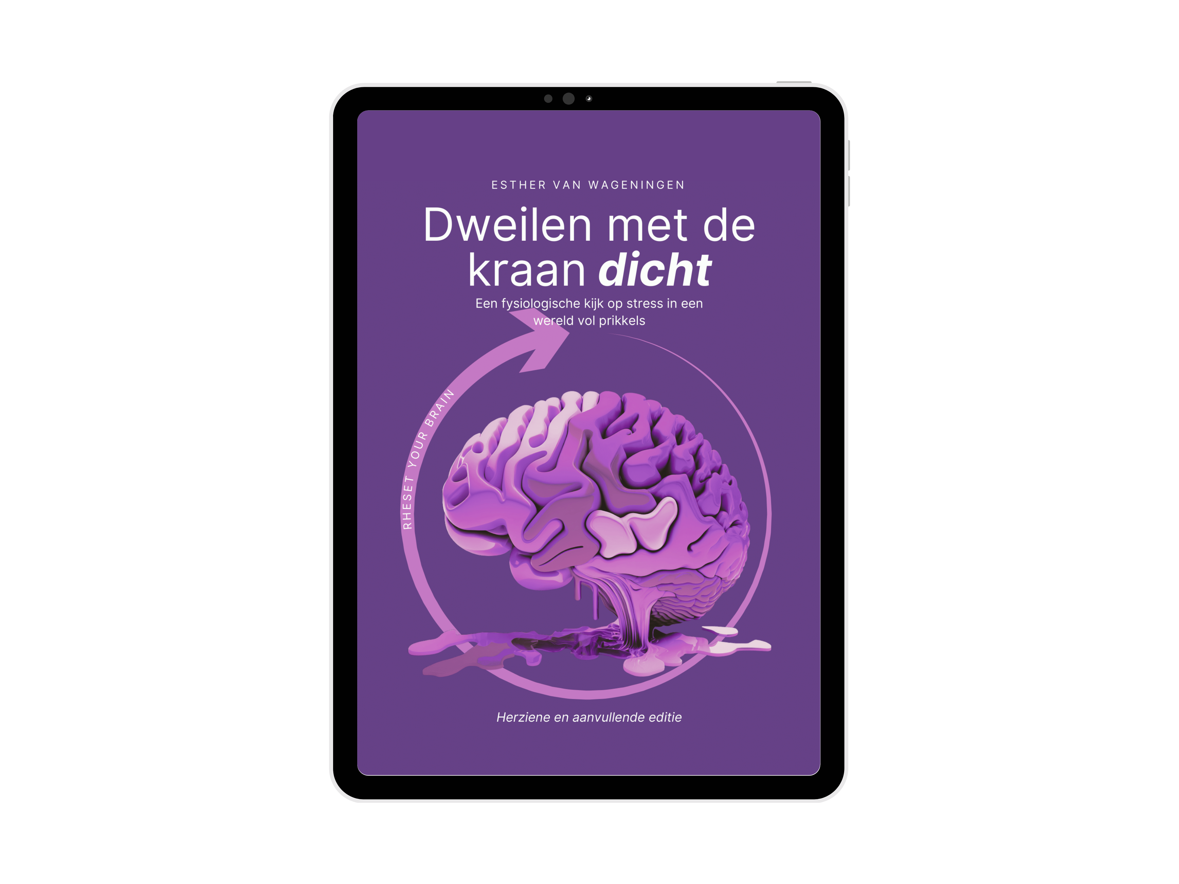 E-book (PDF) | Dweilen met de kraan dicht