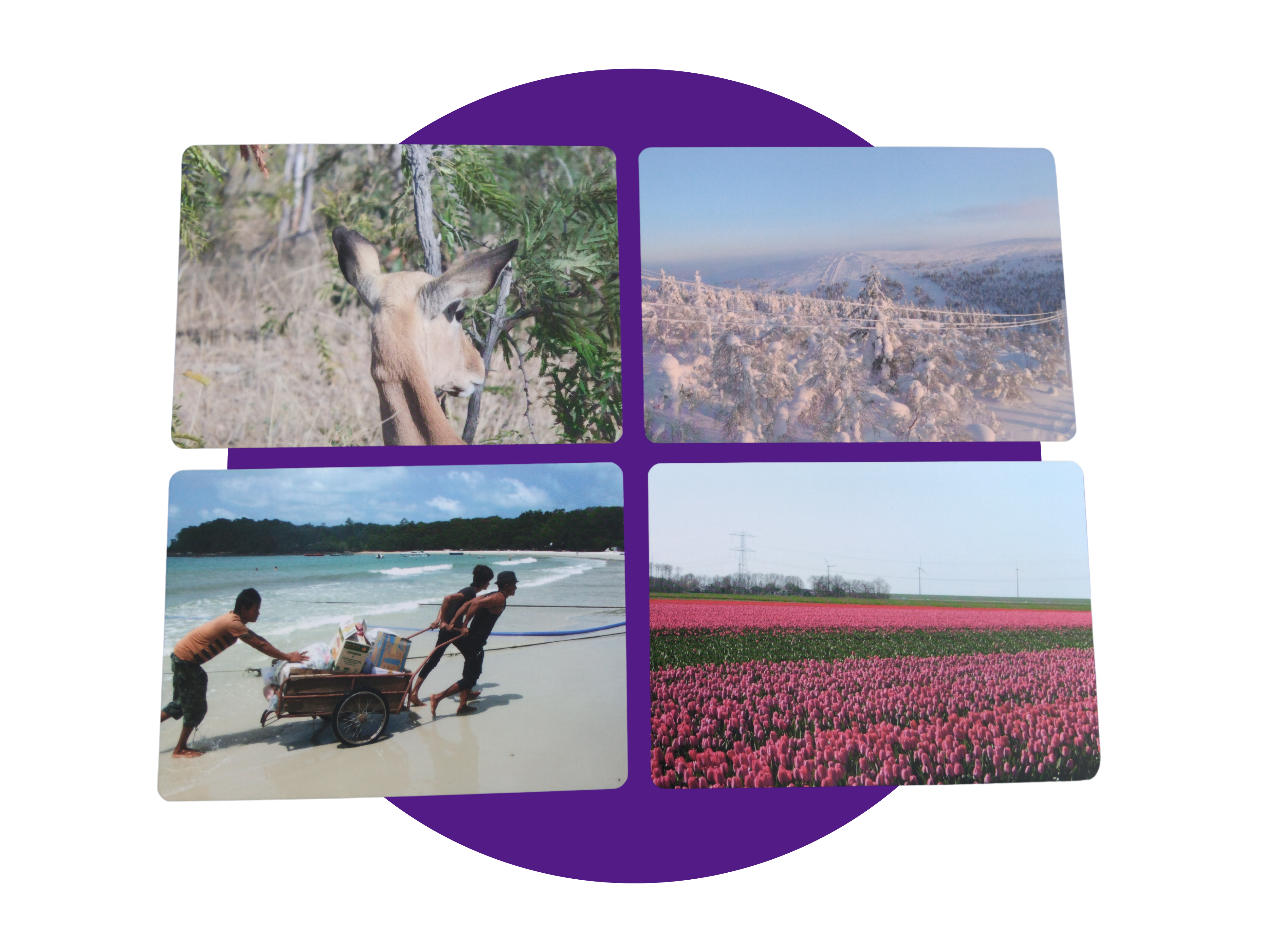 BewustZijn | Coachkaarten