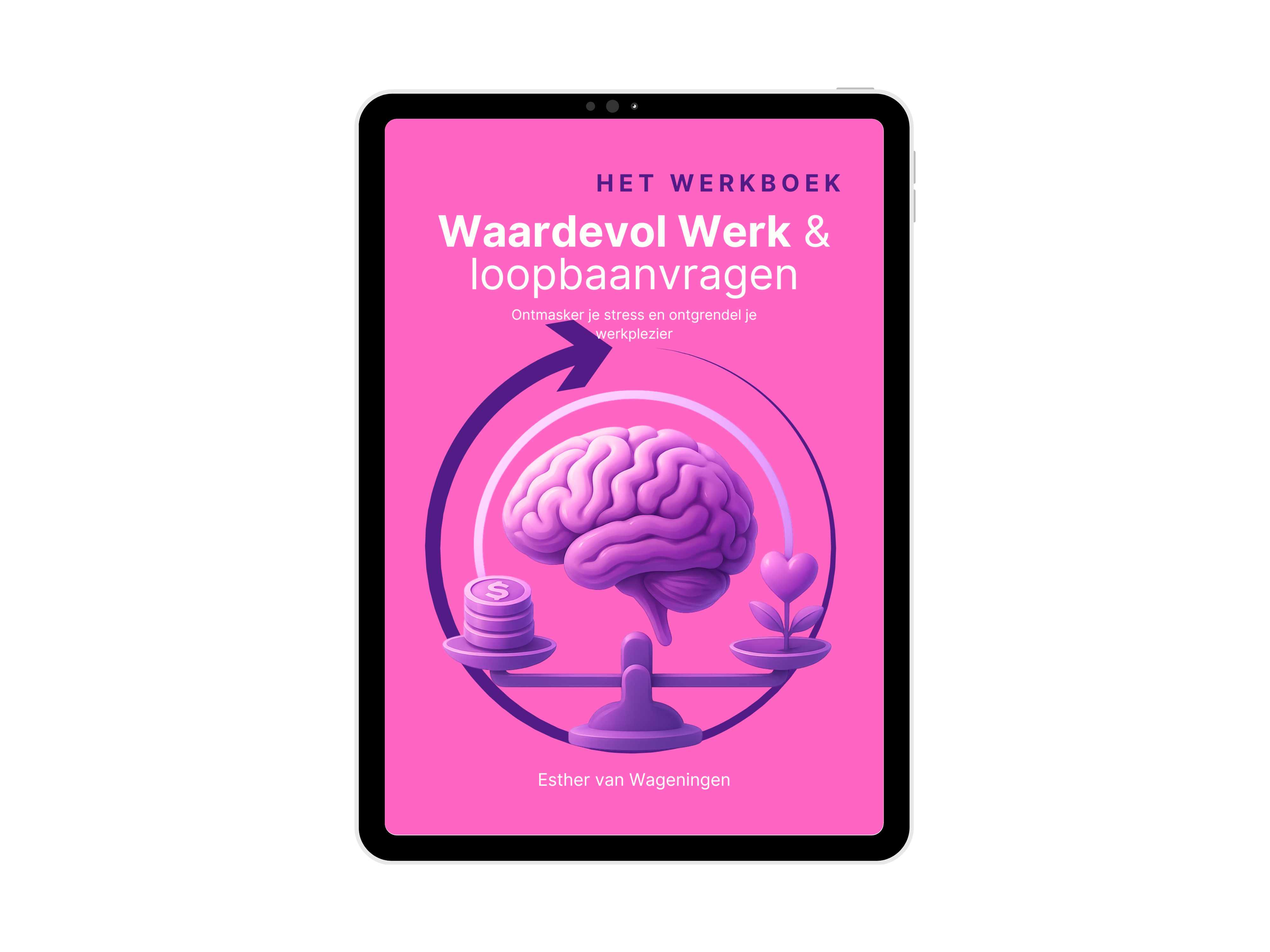 E-book (PDF) | Waardevol Werk & loopbaanvragen