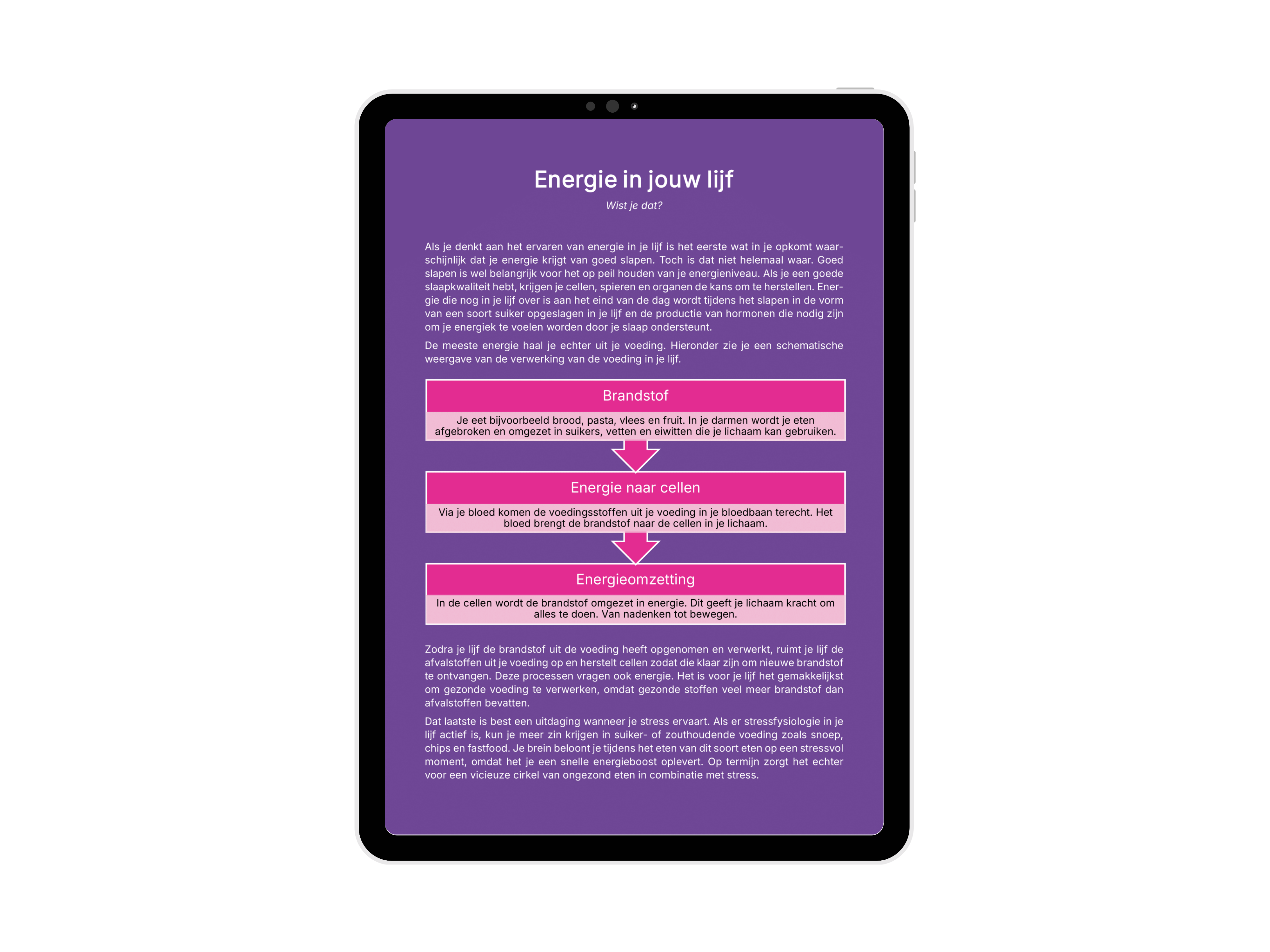 E-book (PDF) | Dweilen met de kraan dicht