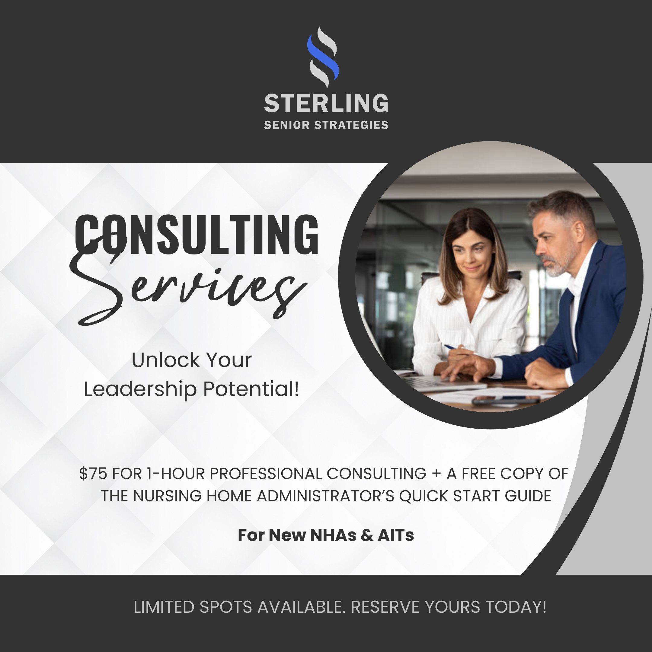 Professional Consulting Services