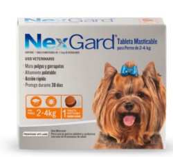 NexGard para perros 2-4Kg x 1 Mes