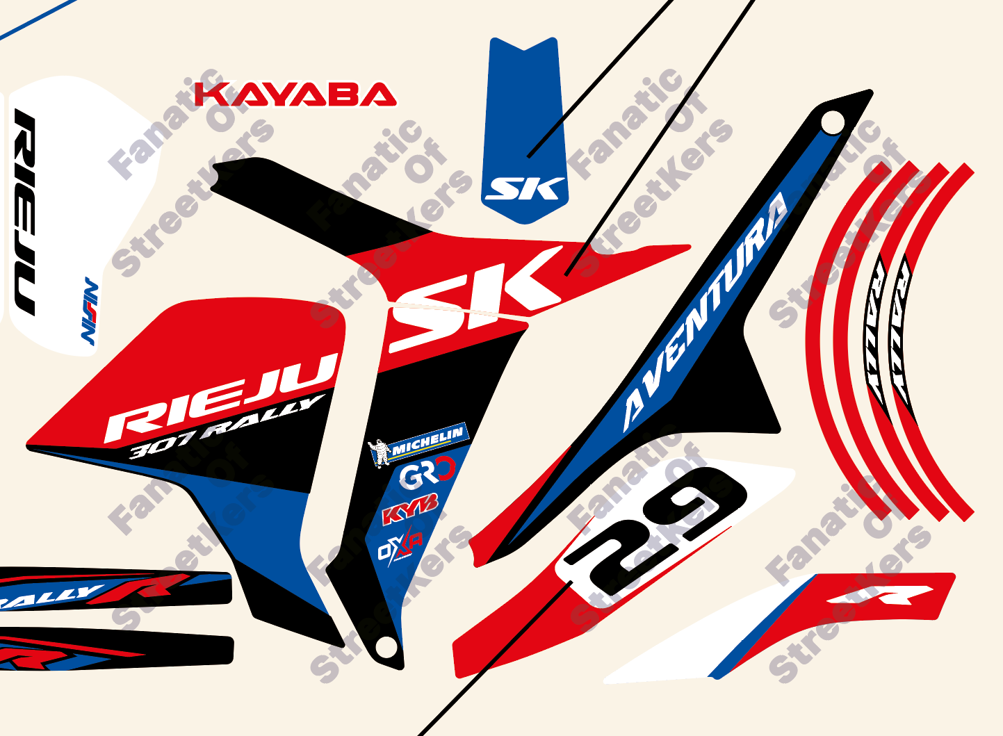 Kit Racing RIEJU 307 RALLY