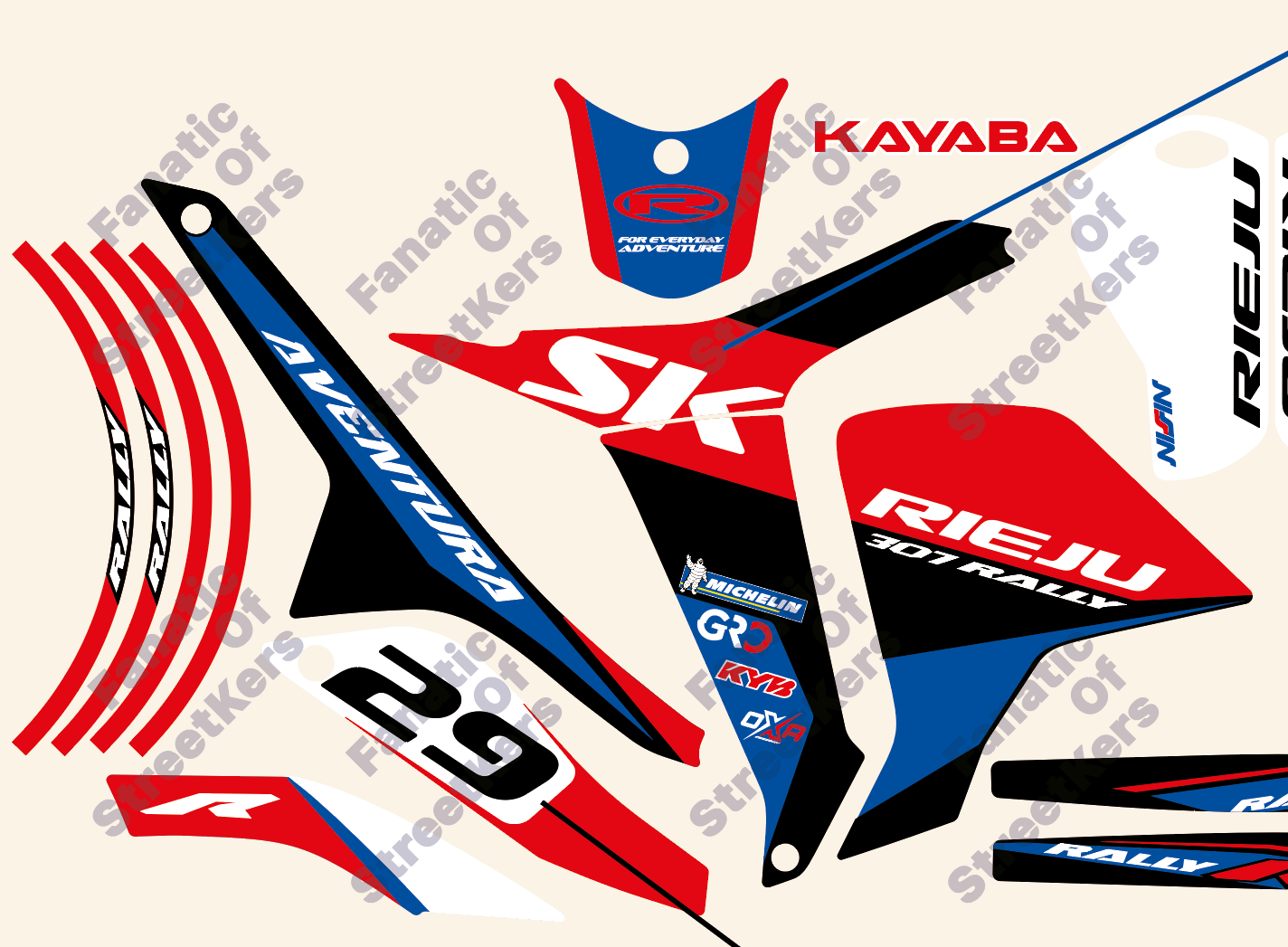 Kit Racing RIEJU 307 RALLY