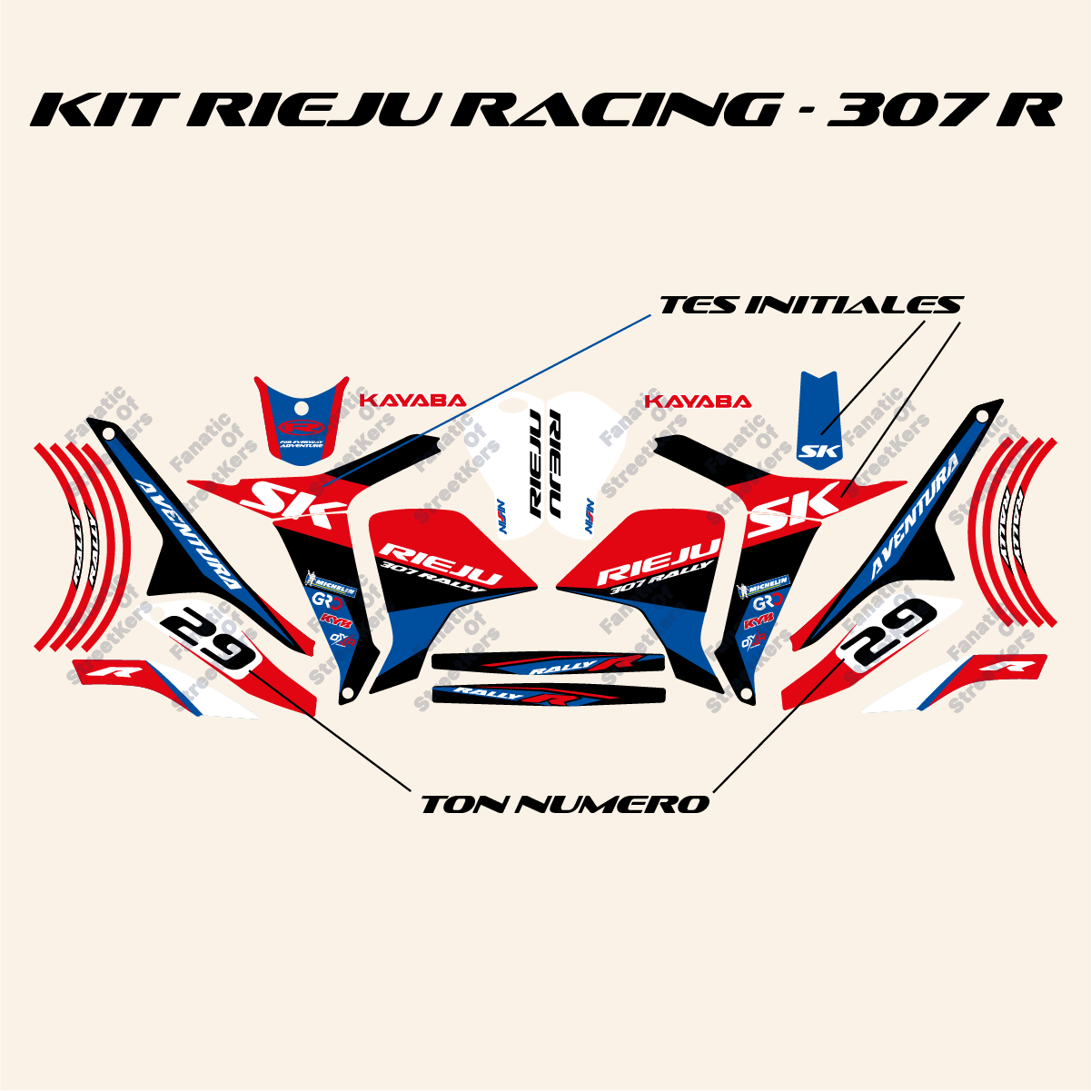 Kit Racing RIEJU 307 RALLY