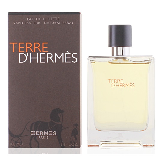 Hermes Terre D Hermes 100ML EDT