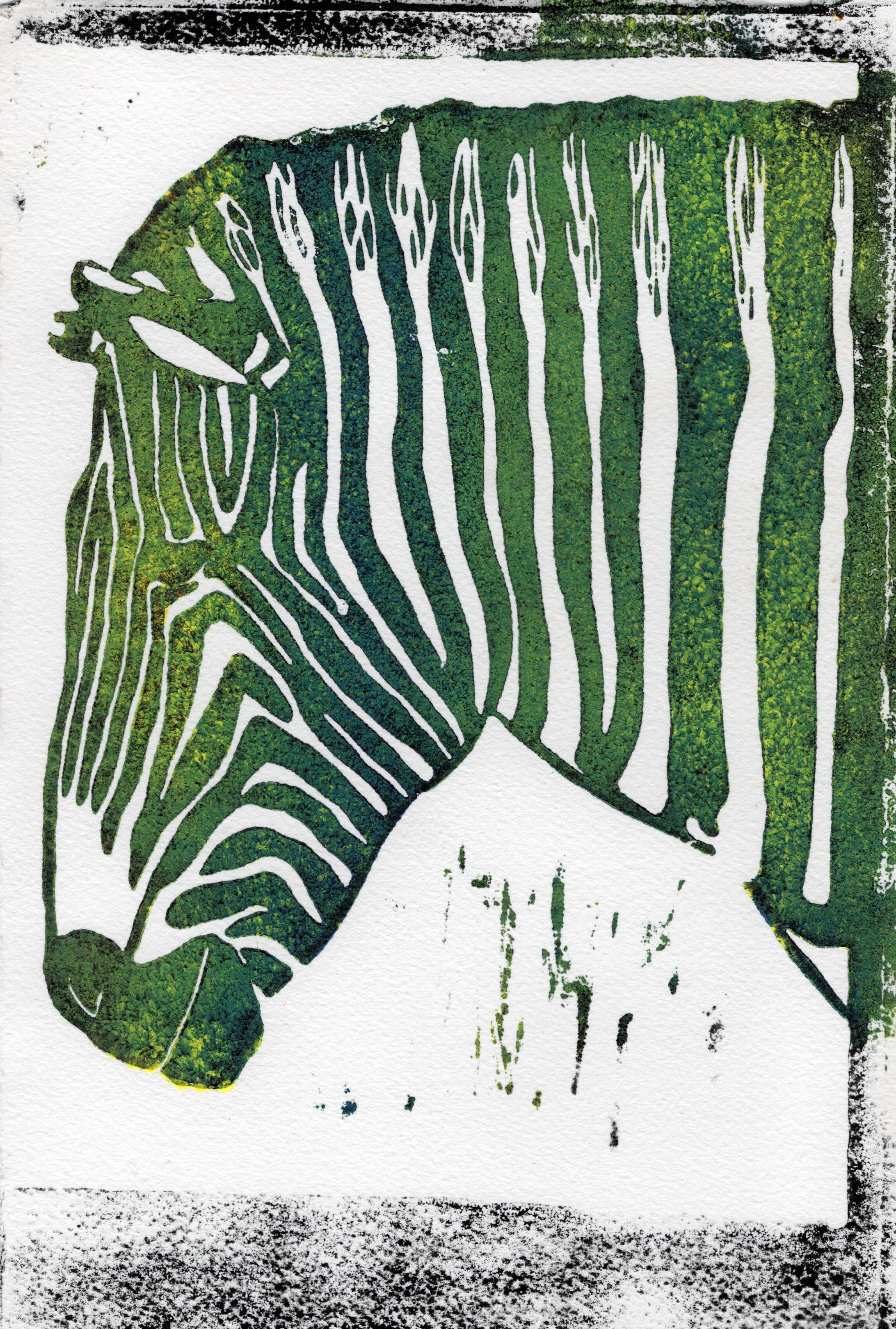 Zebra Print blue green