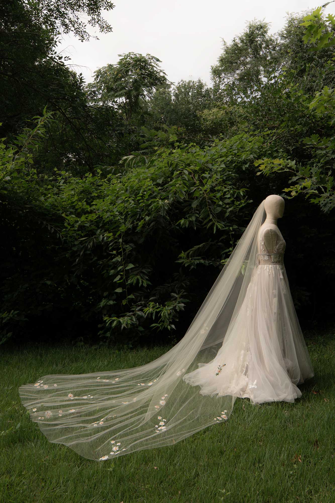 Primrose Veil