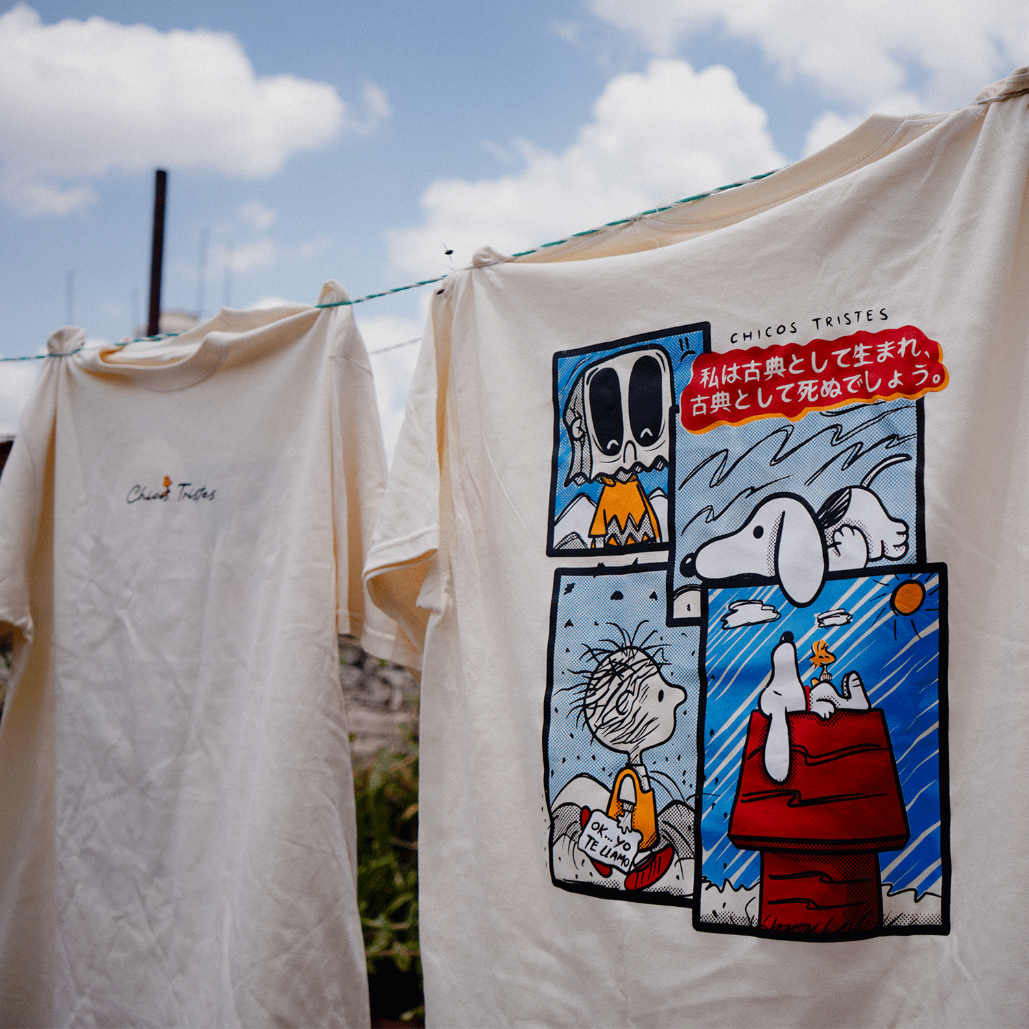 Snoopy - ok… yo te llamo