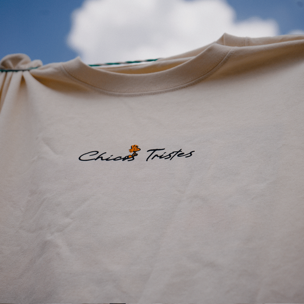 Snoopy - ok… yo te llamo