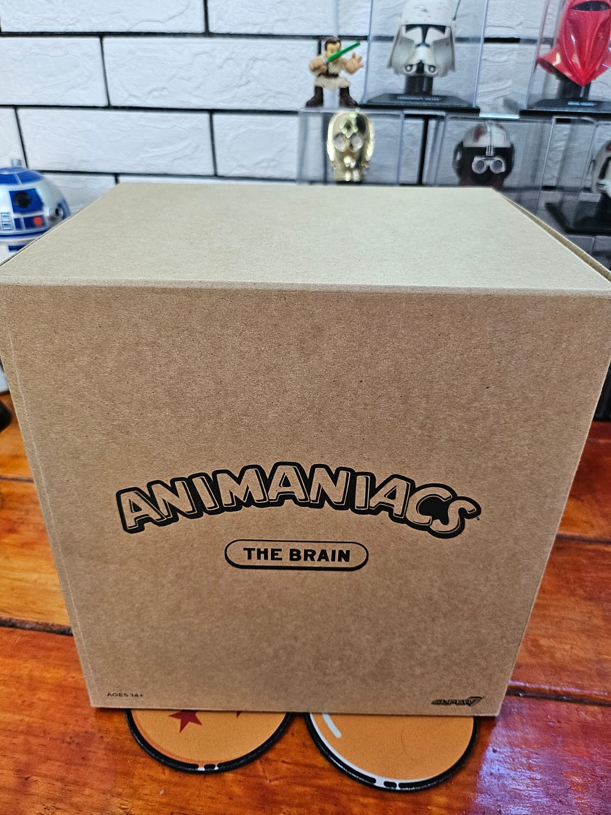 Animaniacs The Brain