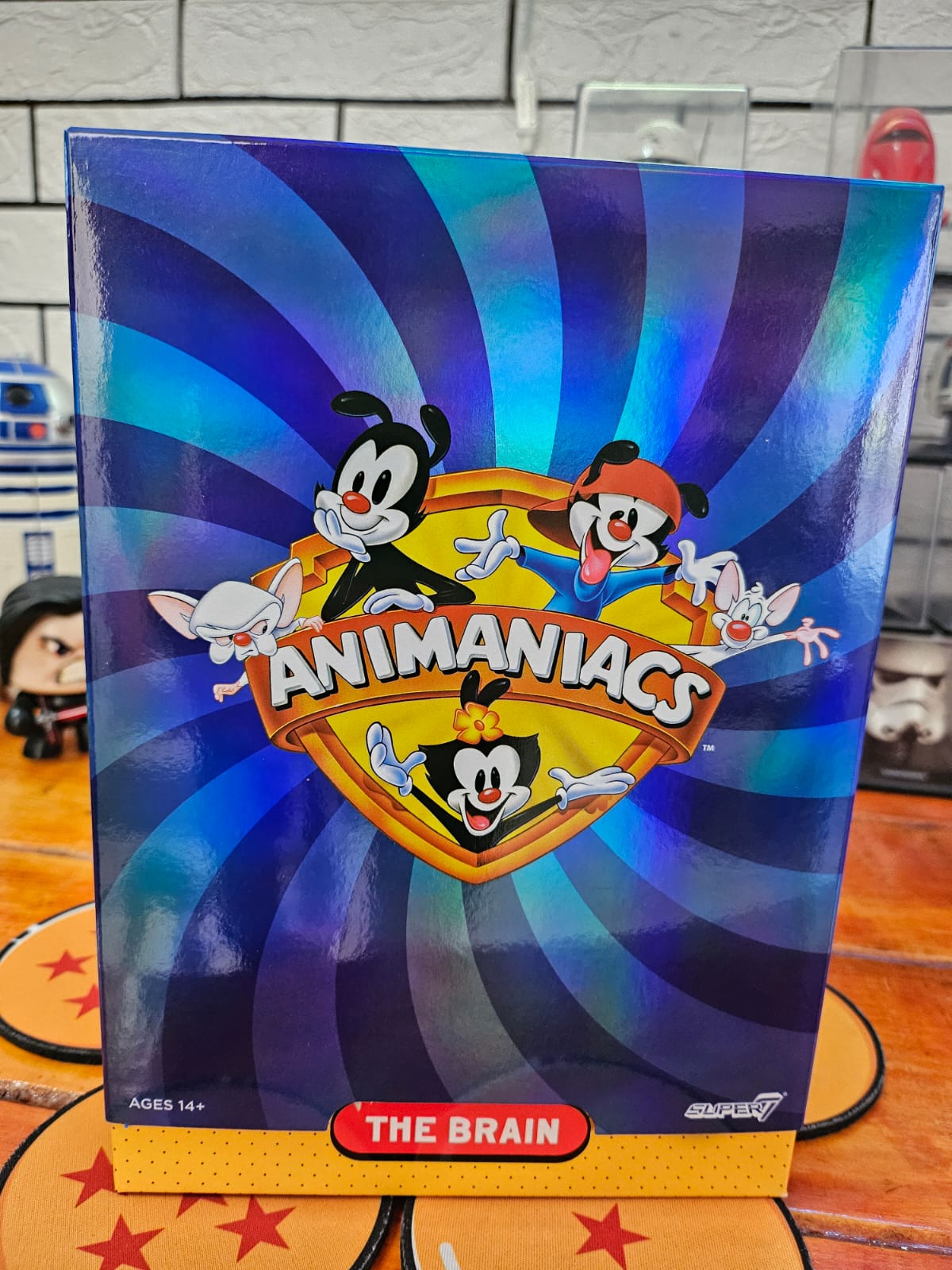 Animaniacs The Brain