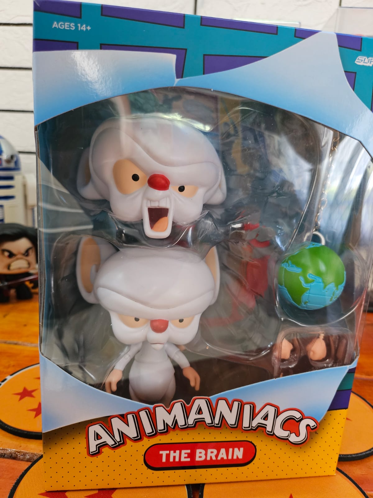 Animaniacs The Brain