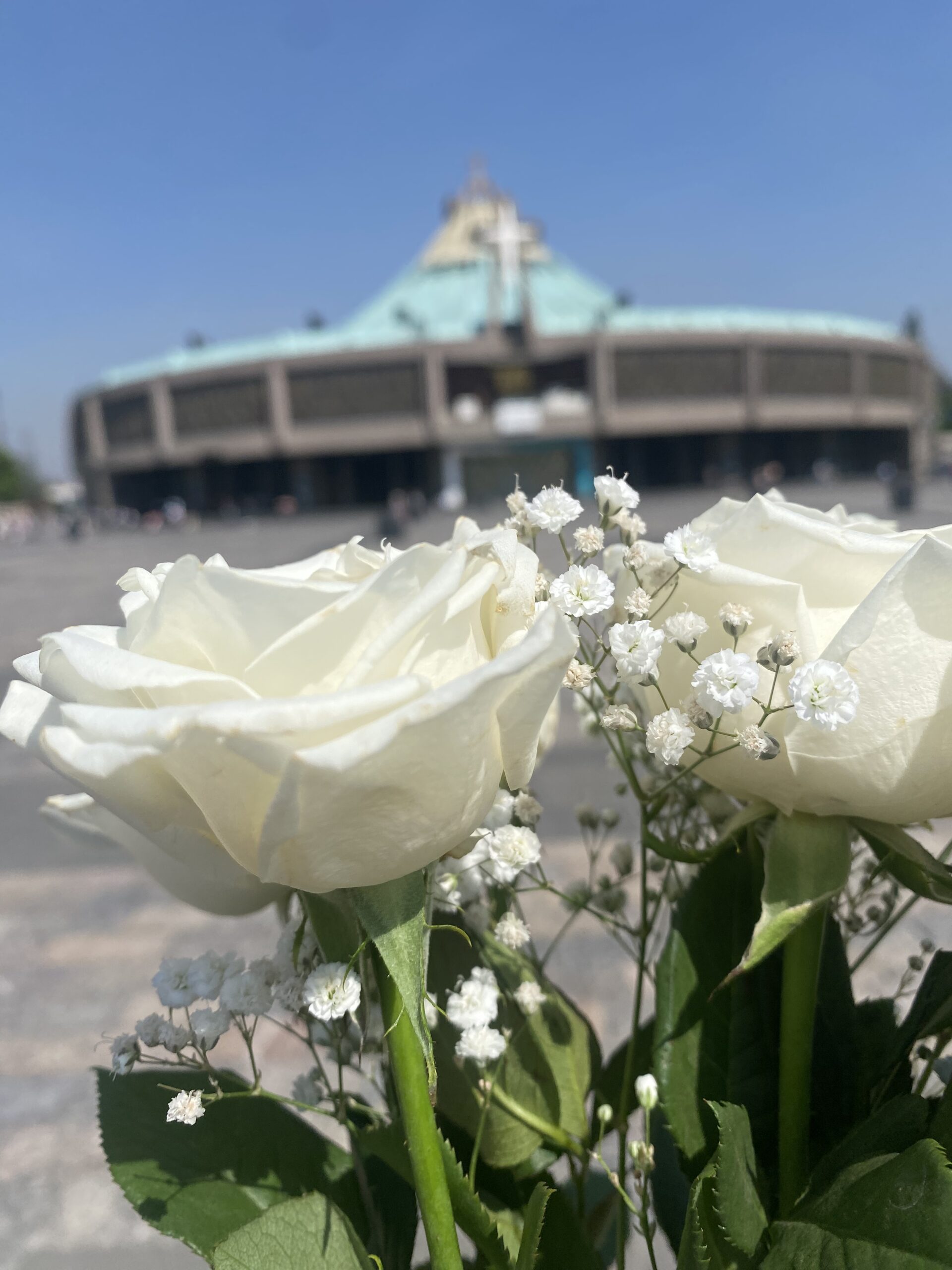 Basilica of Guadalupe: The Spiritual Heart of Mexico for 4 peoples