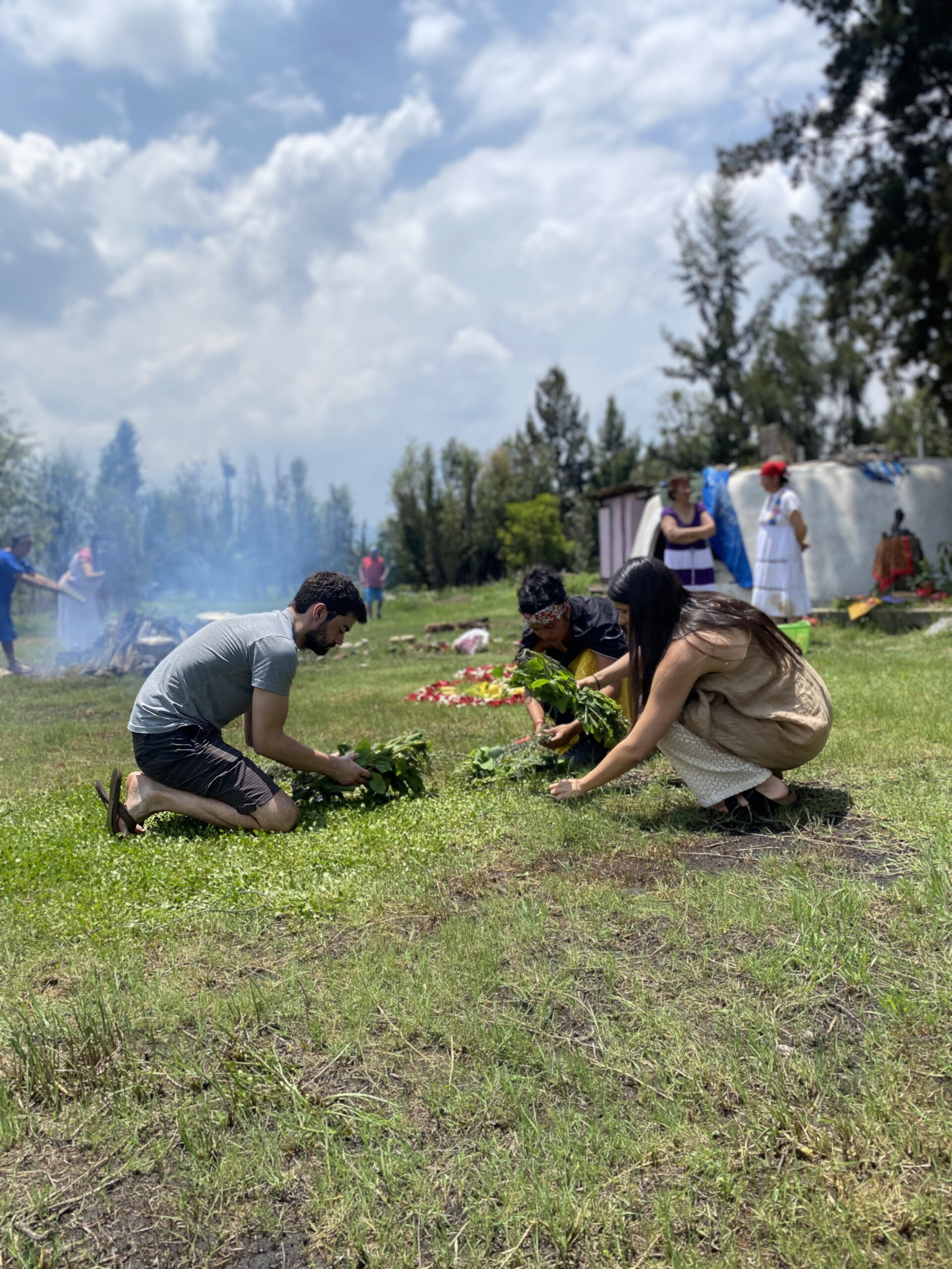 Chinampas of Xochimilco: Food & Tradition for 7 peoples